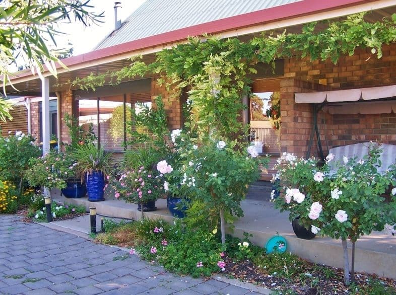 26 Gray Street, MURRAY BRIDGE SA 5253, Murray Bridge - Image 1