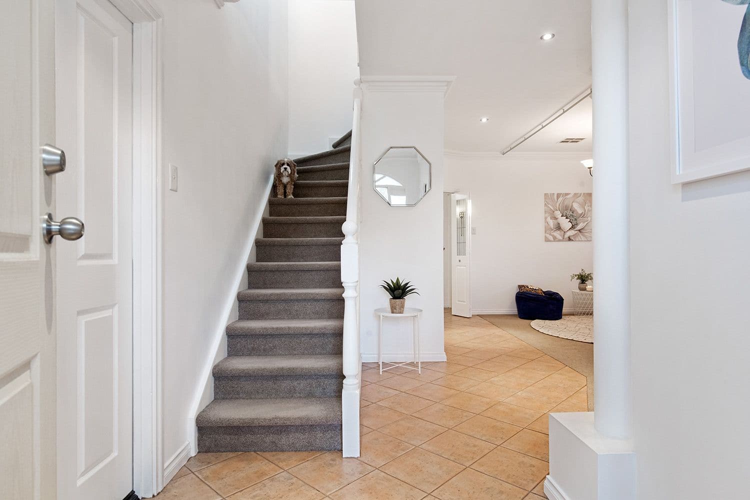 34 McCole Circuit, Allenby Gardens SA 5009, Allenby Gardens - Thumbnail 3