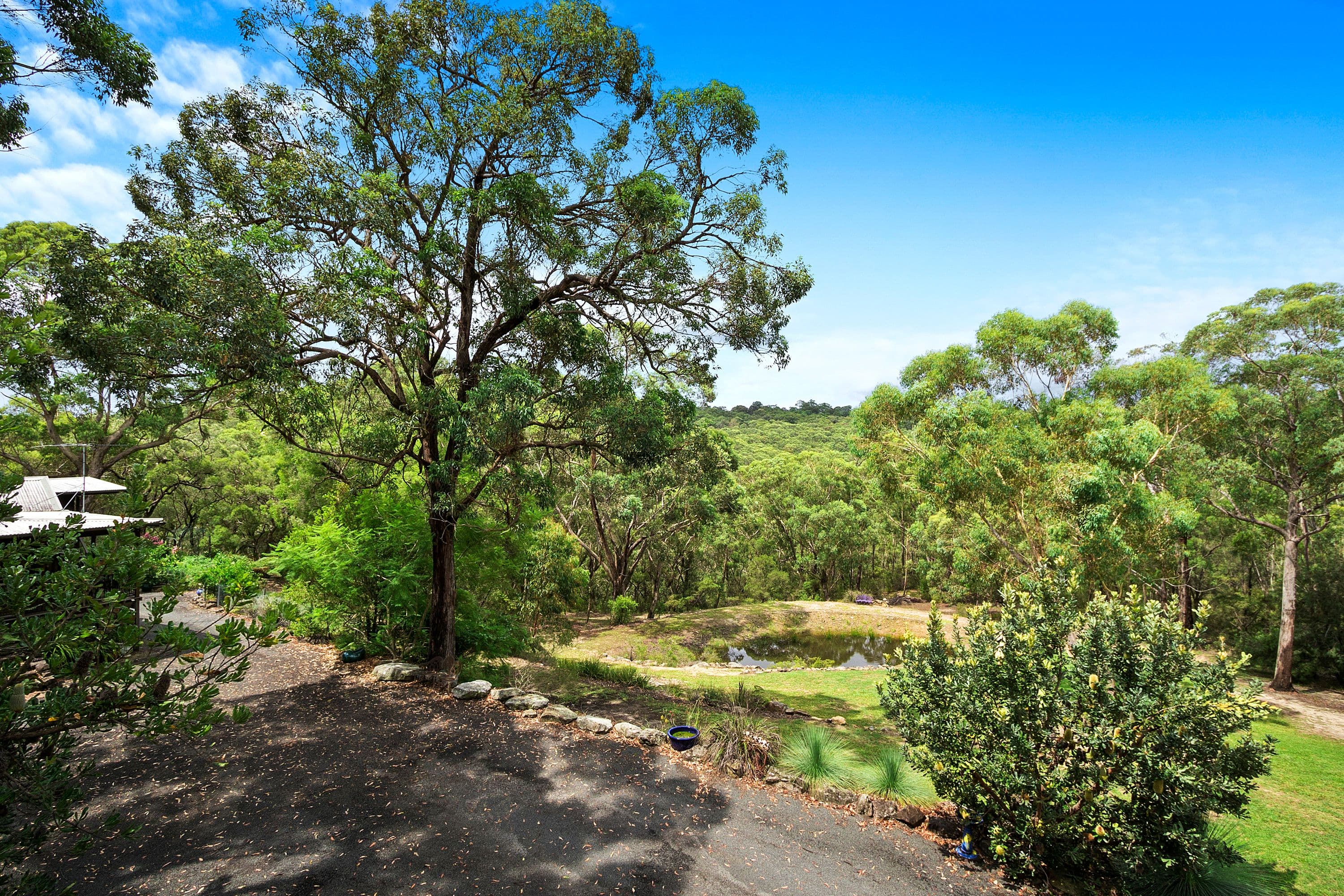 141 Mountain View Close, Kurrajong Hills - Thumbnail 5