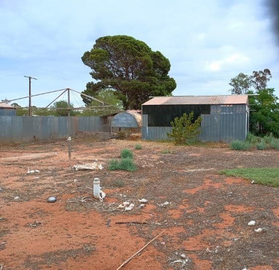 120 Phillips Street, IRON KNOB SA 5611, Iron Knob - Thumbnail 3