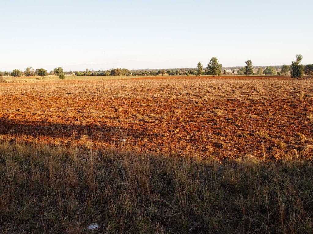 Iona 1a Welcome Road, Parkes NSW 2870, Parkes - Thumbnail 2