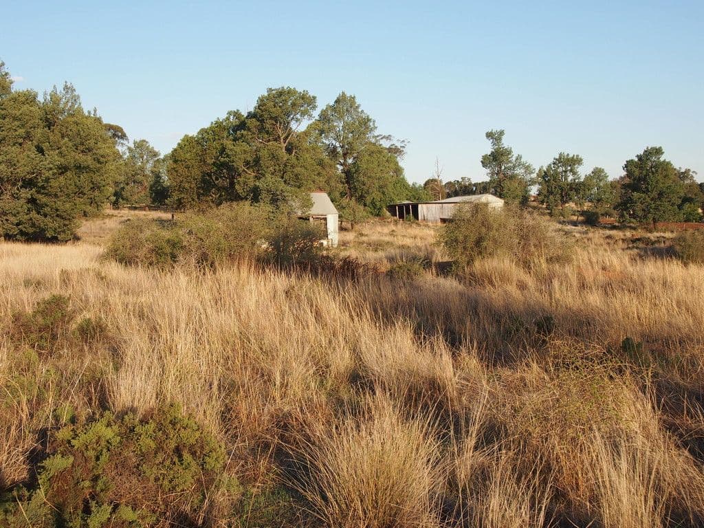Iona 1a Welcome Road, Parkes NSW 2870, Parkes - Thumbnail 7