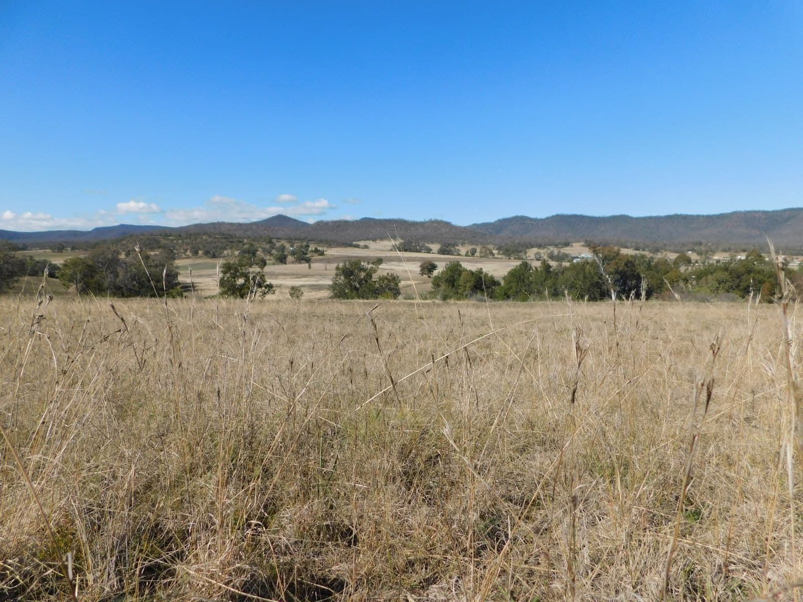 221 Days Road, Maryvale, QLD 4370, Maryvale - Thumbnail 5