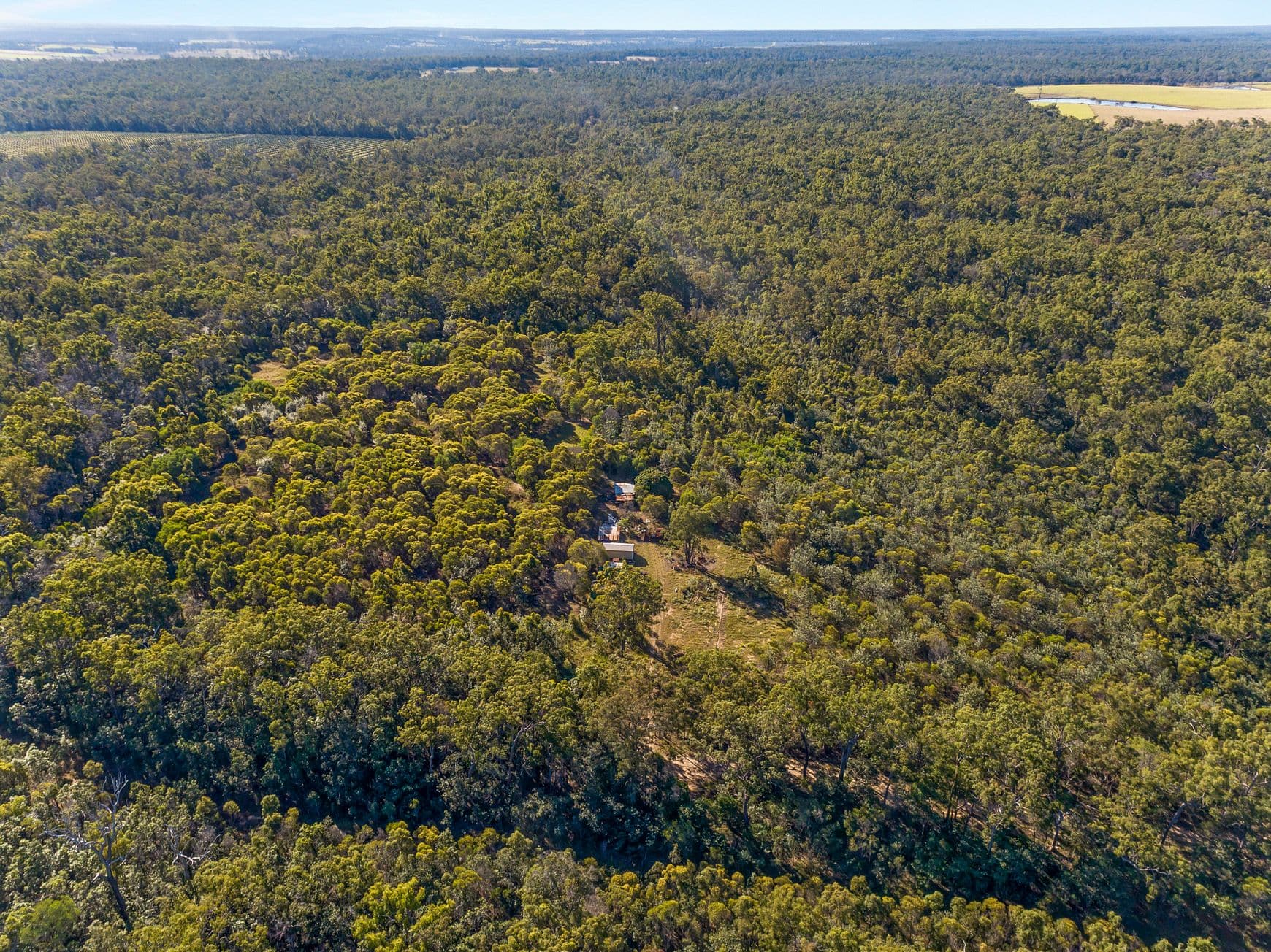 0 Butlers Road, South Kolan QLD 4670, South Kolan - Thumbnail 8