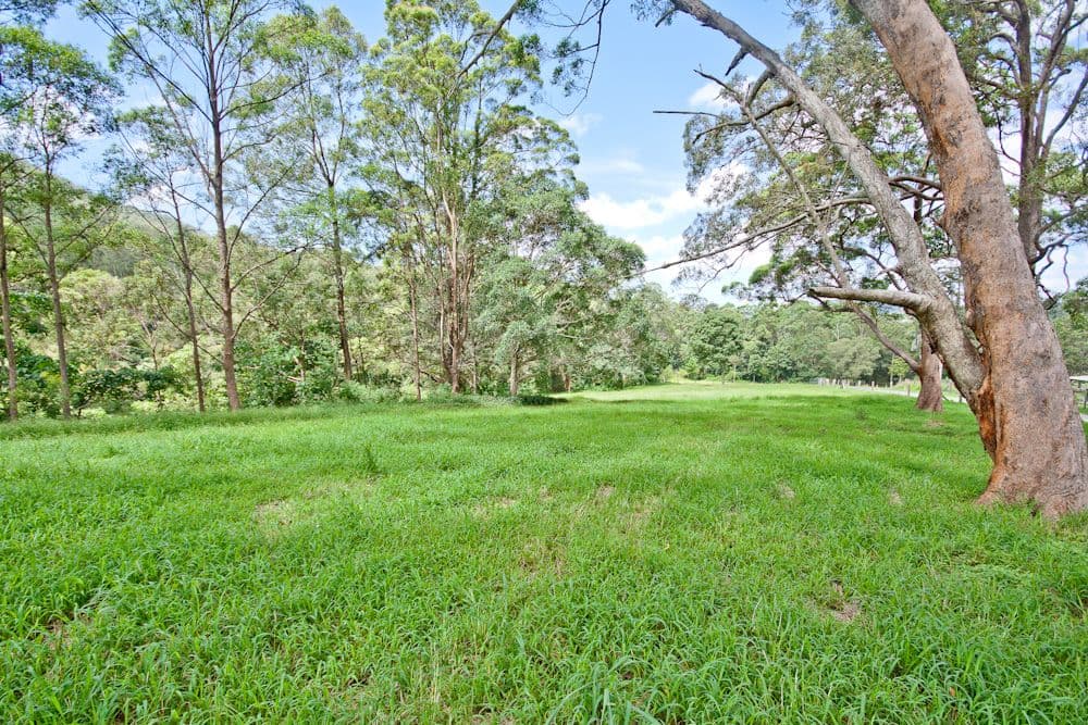602 Cedar Creek Road, CEDAR CREEK QLD 4520, Cedar Creek - Thumbnail 6
