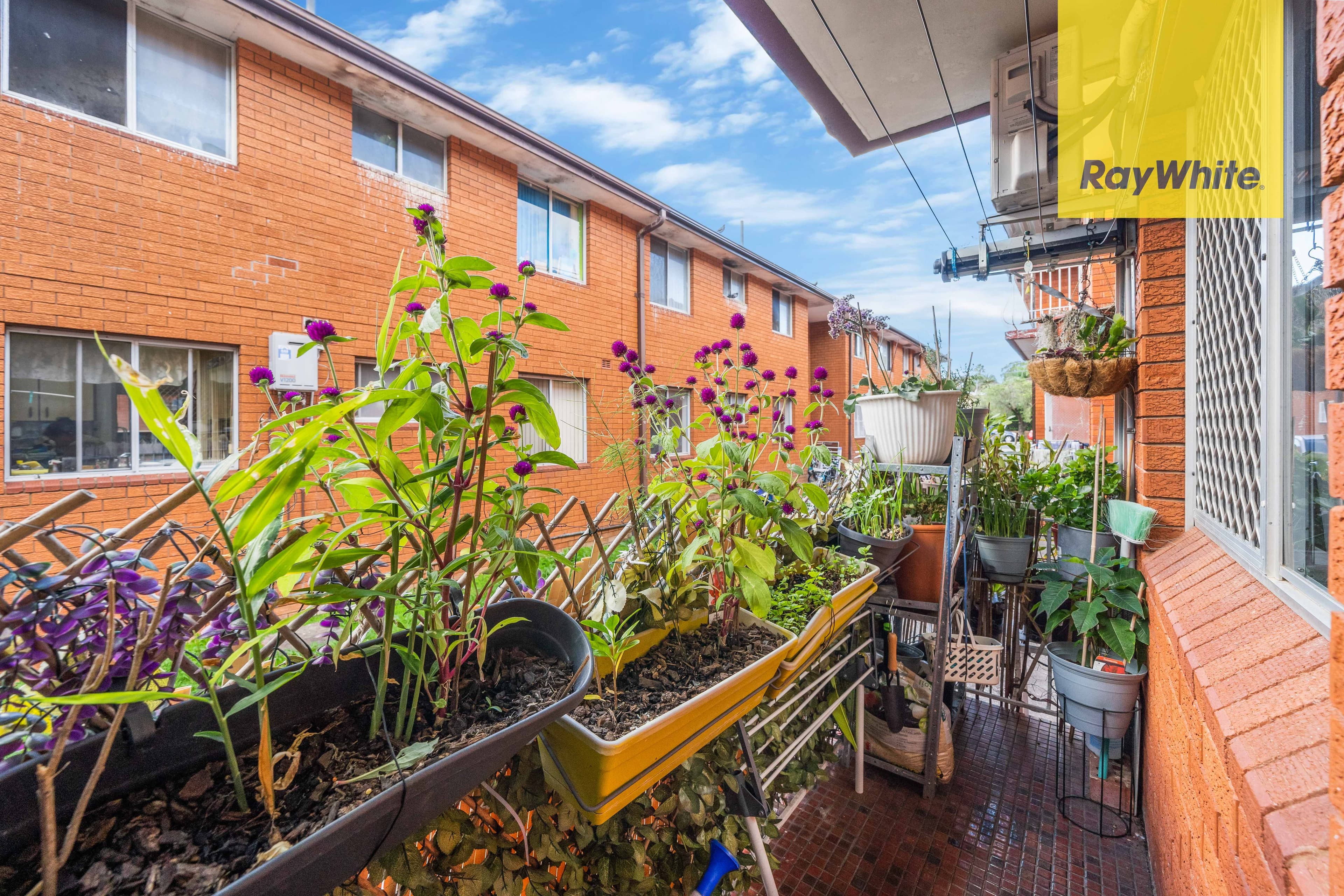 20 Hampden Road, Lakemba NSW 2195, Lakemba - Thumbnail 6