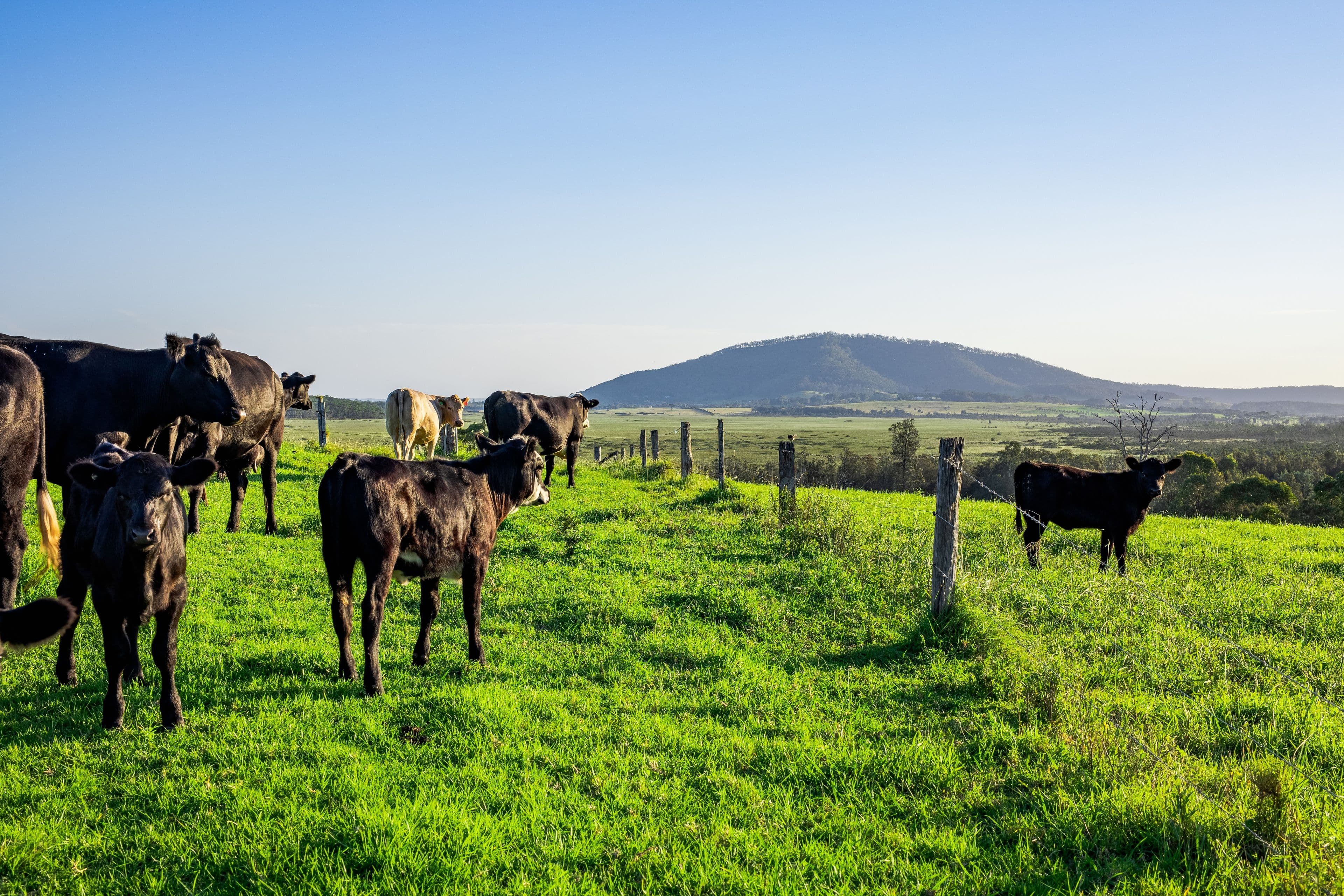 Lot 15, 510 Beach Road, Berry NSW 2535, Berry - Thumbnail 3