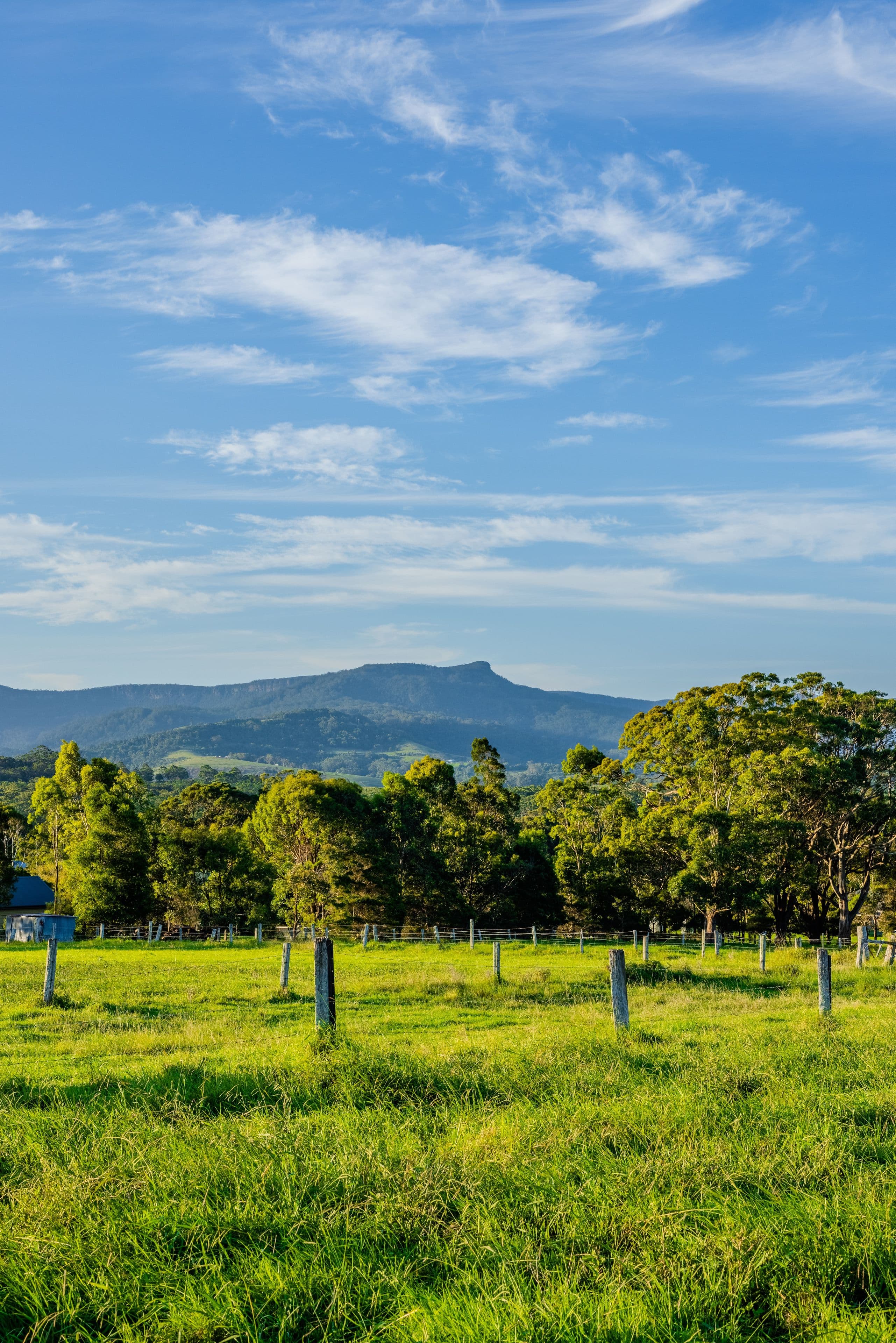 Lot 15, 510 Beach Road, Berry NSW 2535, Berry - Thumbnail 7