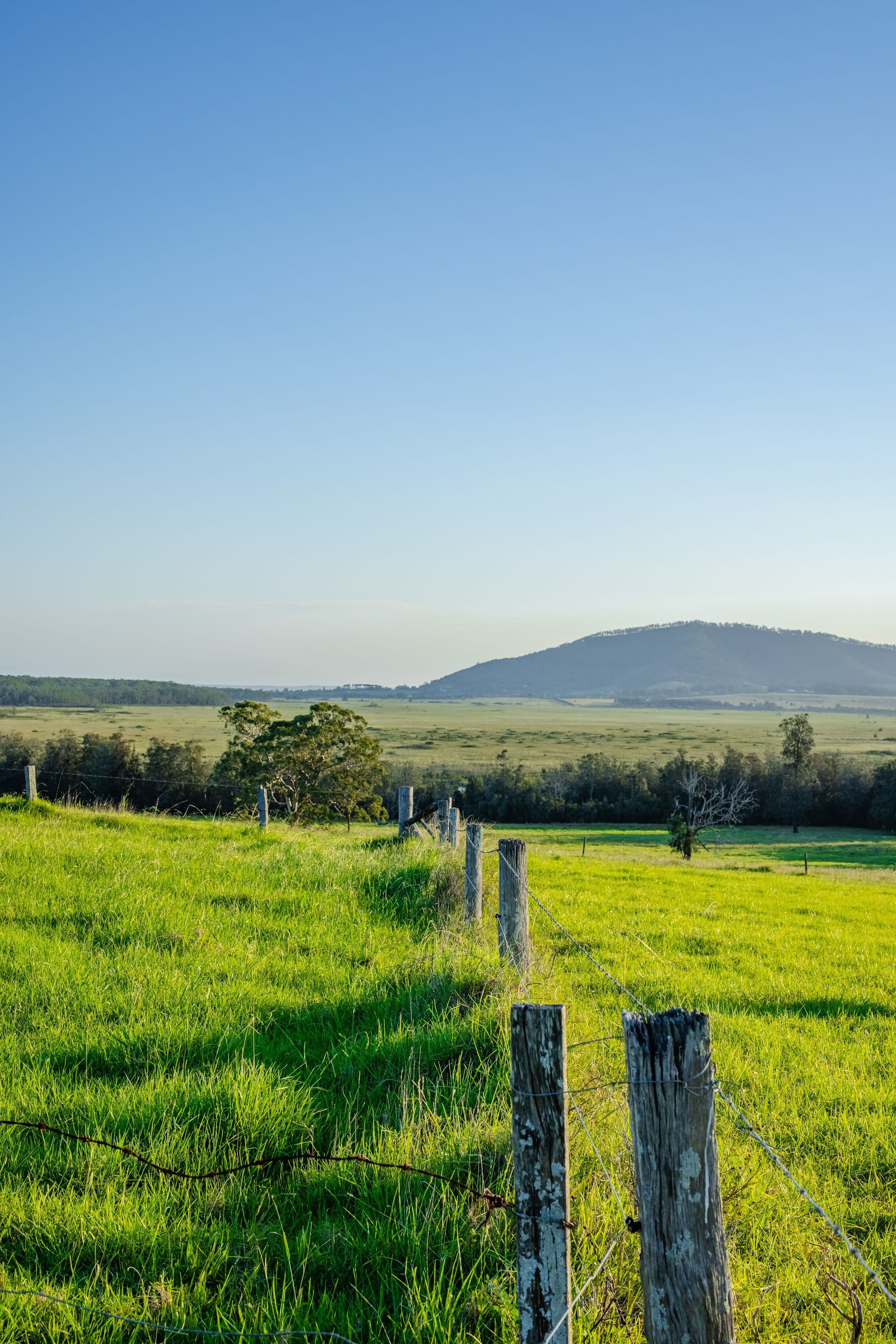 Lot 15, 510 Beach Road, Berry NSW 2535, Berry - Thumbnail 8