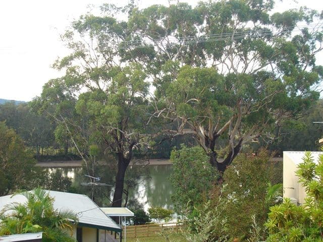 24 Allison Road, HYLAND PARK NSW 2448, Hyland Park - Thumbnail 8