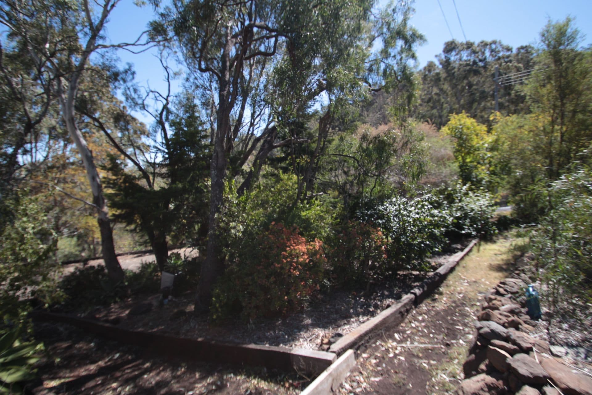 13 Rowland Court, Gowrie Mountain QLD 4350, Gowrie Mountain - Thumbnail 5