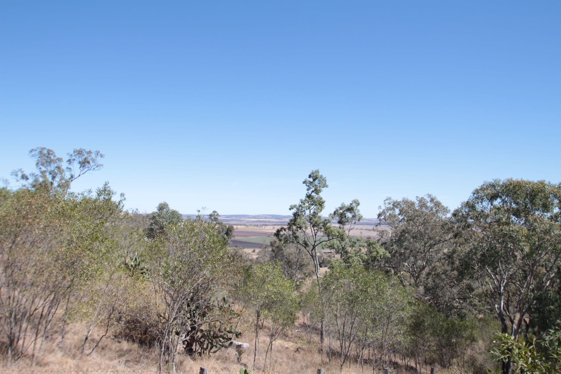 13 Rowland Court, Gowrie Mountain QLD 4350, Gowrie Mountain - Thumbnail 6