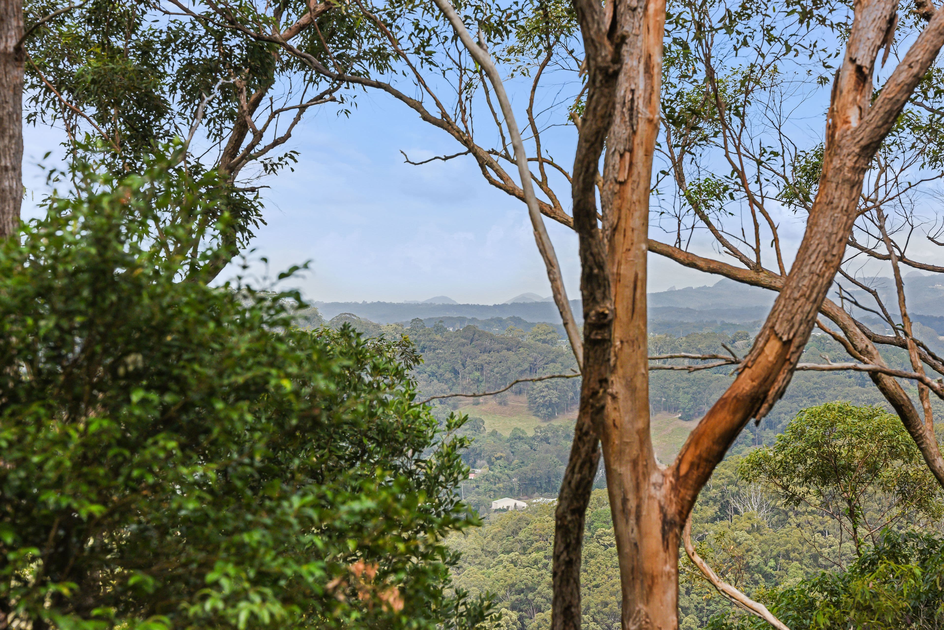 6 Atkinson Road West, Bli Bli QLD 4560, Bli Bli - Thumbnail 3