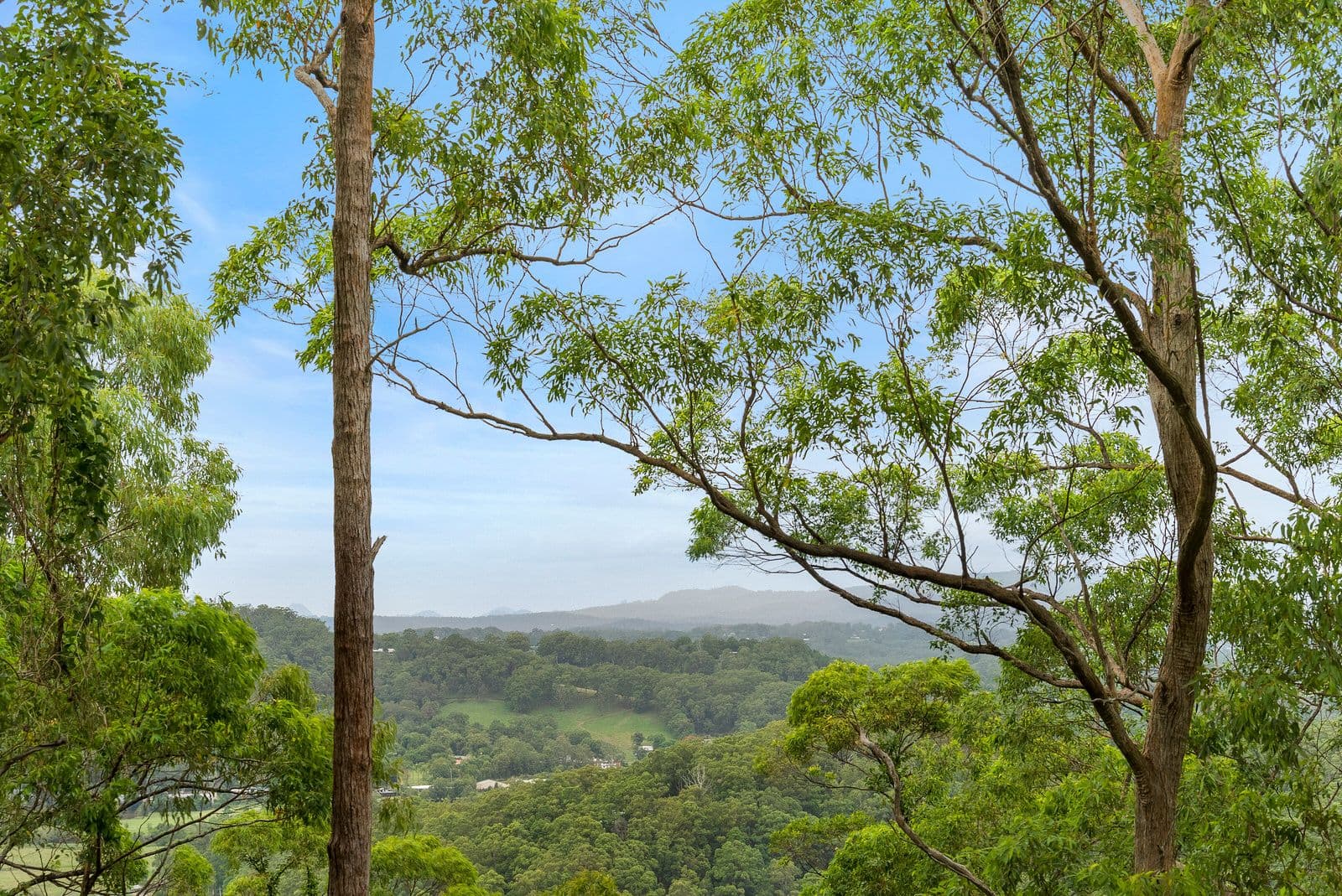 6 Atkinson Road West, Bli Bli QLD 4560, Bli Bli - Thumbnail 7