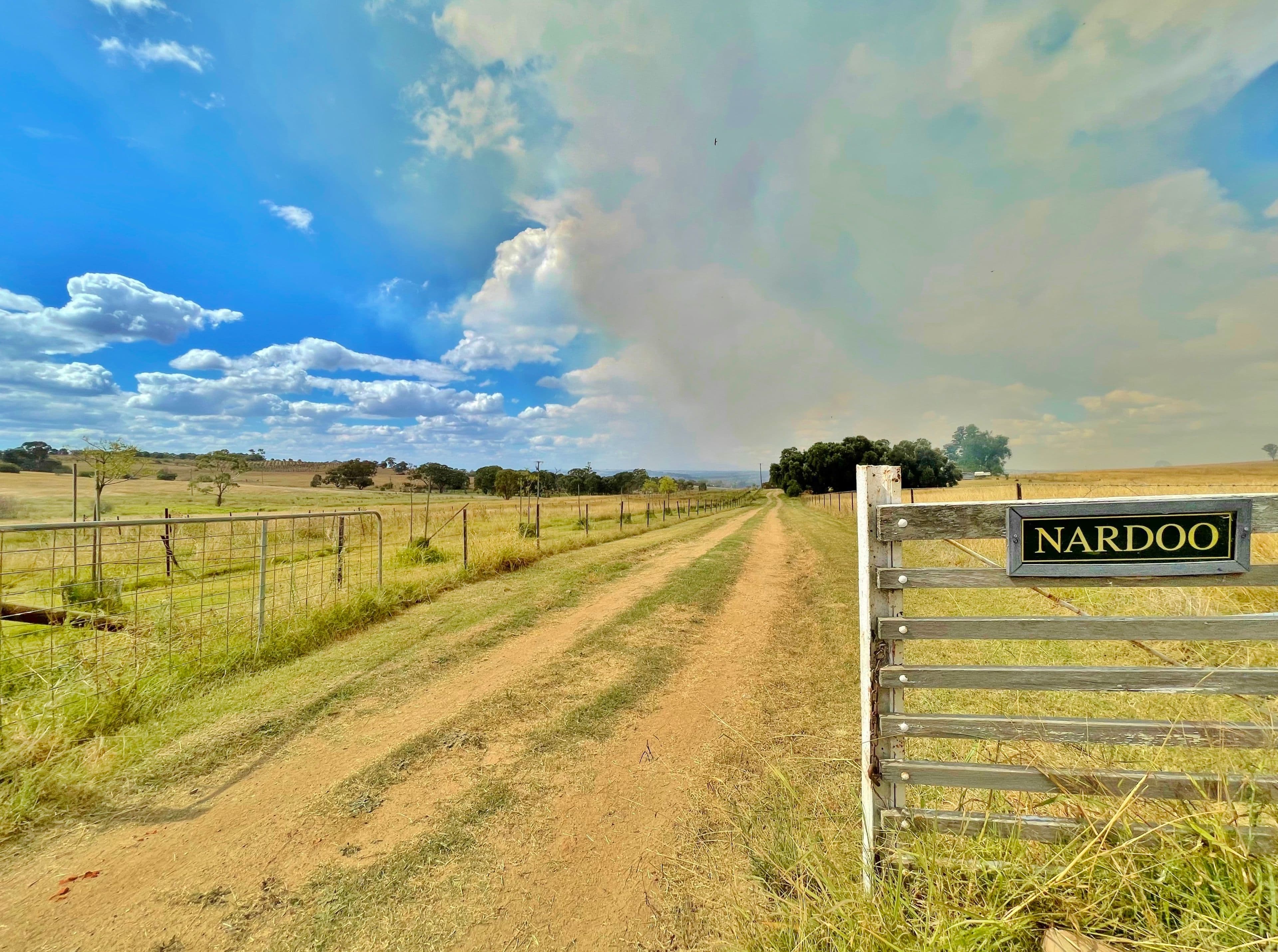 415 Maimuru Road, Young NSW 2594, Young - Image 1