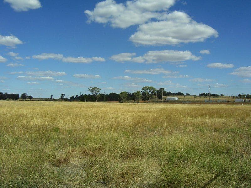 Lot 4 No Mistake Lane, PARKES NSW 2870, Parkes - Thumbnail 2