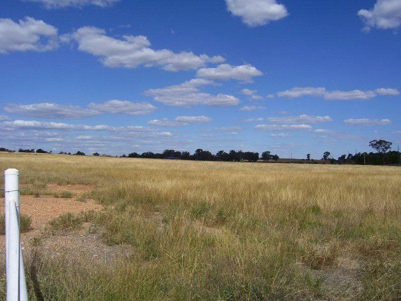 Lot 4 No Mistake Lane, PARKES NSW 2870, Parkes - Thumbnail 4