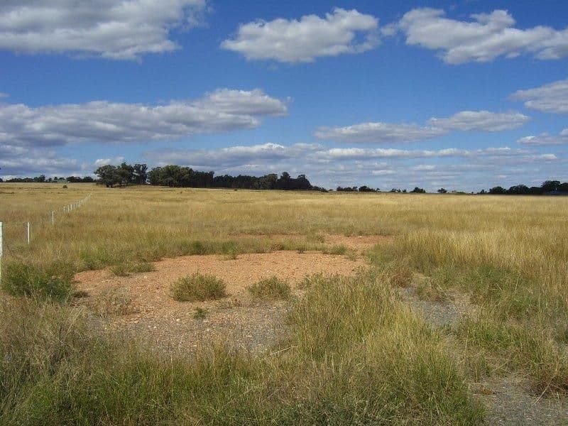 Lot 4 No Mistake Lane, PARKES NSW 2870, Parkes - Thumbnail 5