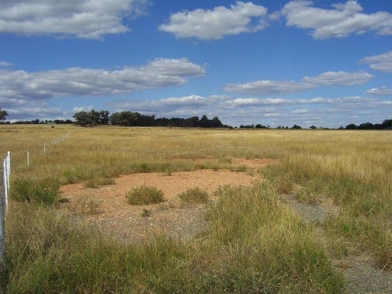 Lot 4 No Mistake Lane, PARKES NSW 2870, Parkes - Thumbnail 6