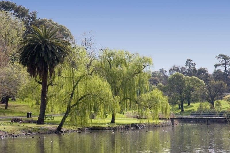 40 Shackell Street, COBURG VIC 3058, Coburg - Thumbnail 5