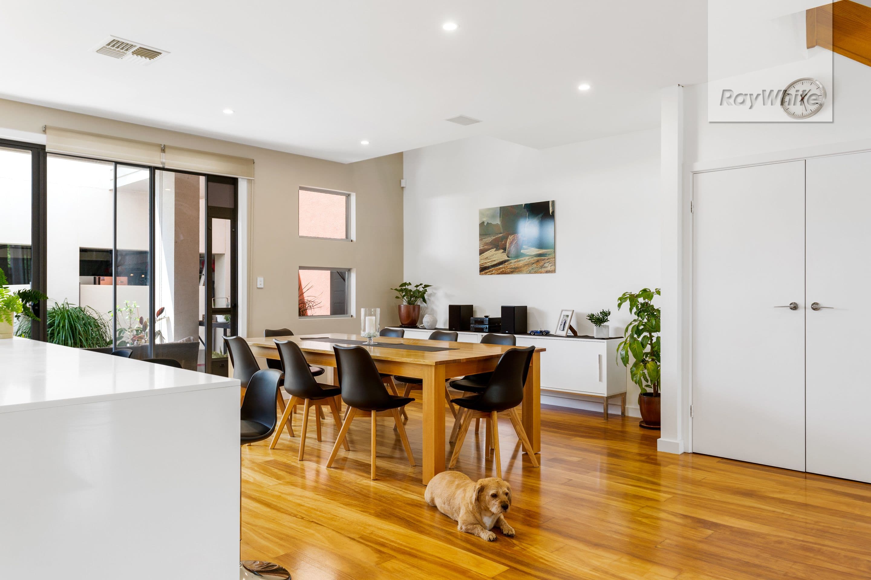 23 Chapel Lane, Mawson Lakes SA 5095, Mawson Lakes - Thumbnail 4