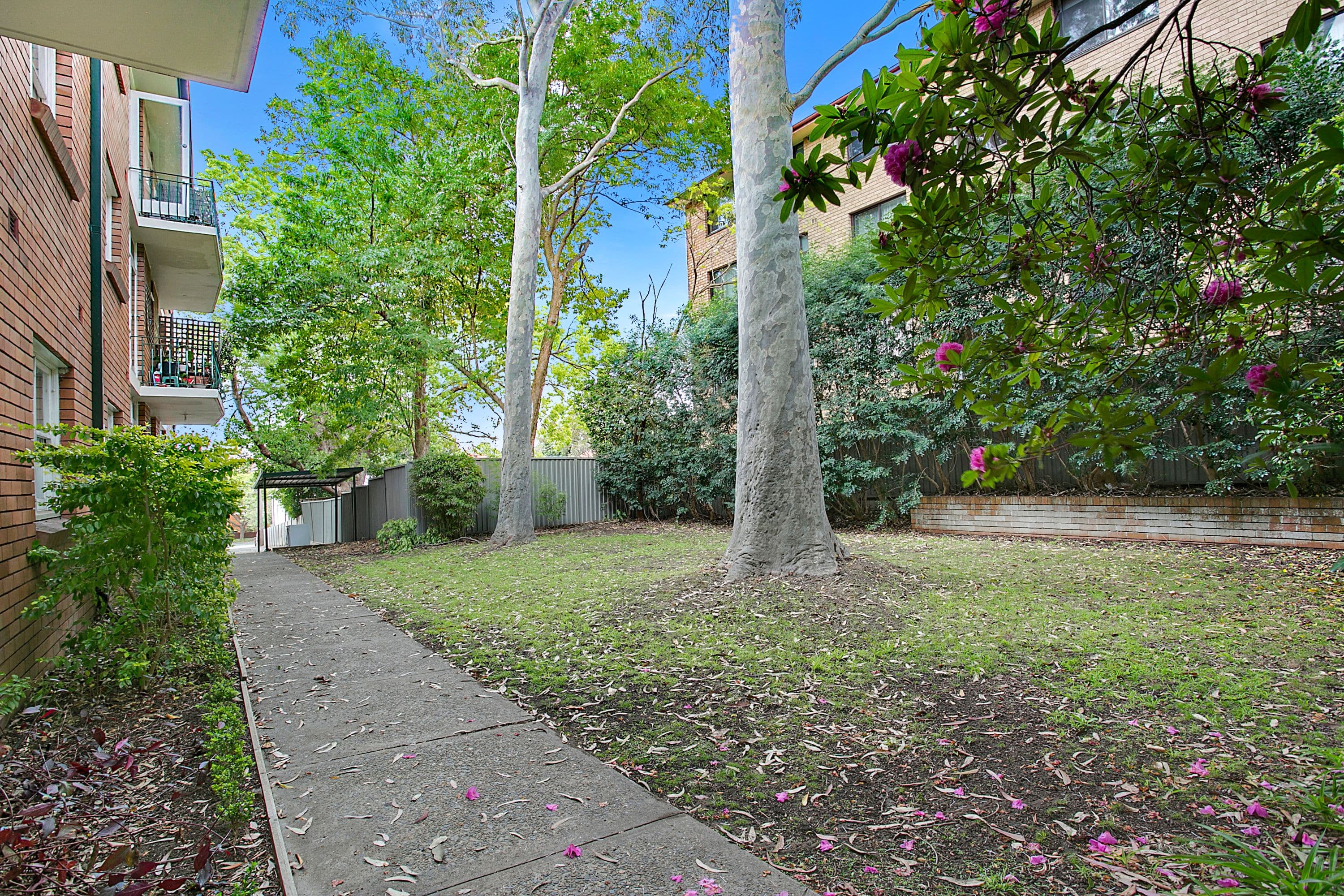 87 The Boulevarde, Dulwich Hill NSW 2203, Dulwich Hill - Thumbnail 5