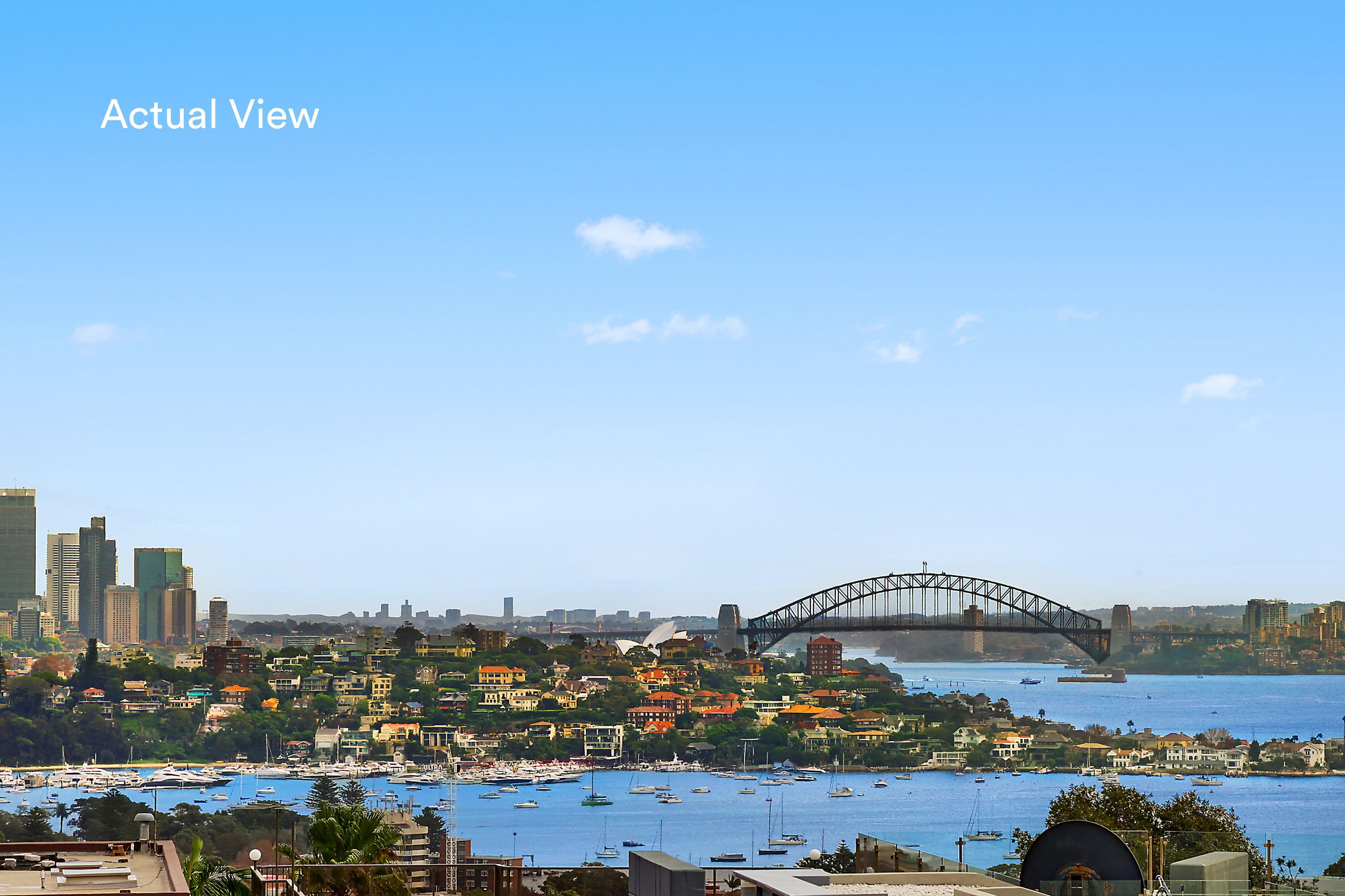 208 Military Road, Dover Heights - Thumbnail 4