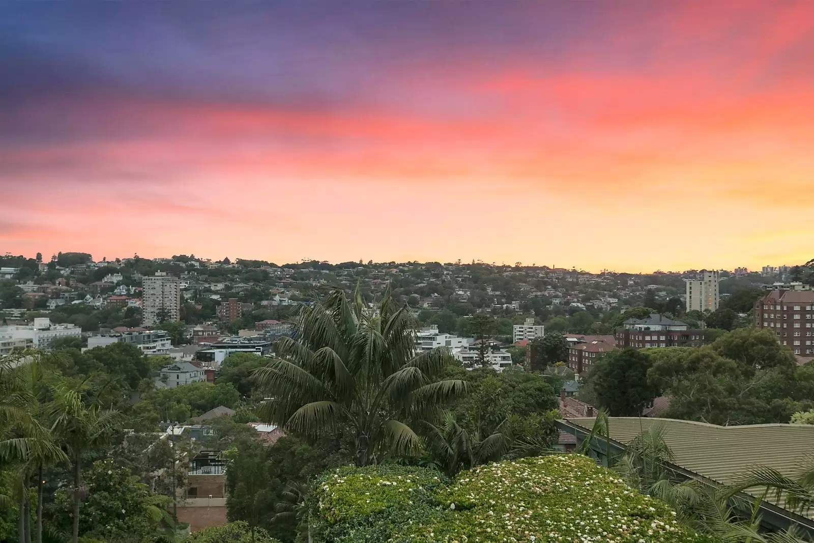 9/17 Greenoaks Avenue, Darling Point, Darling Point - Thumbnail 5