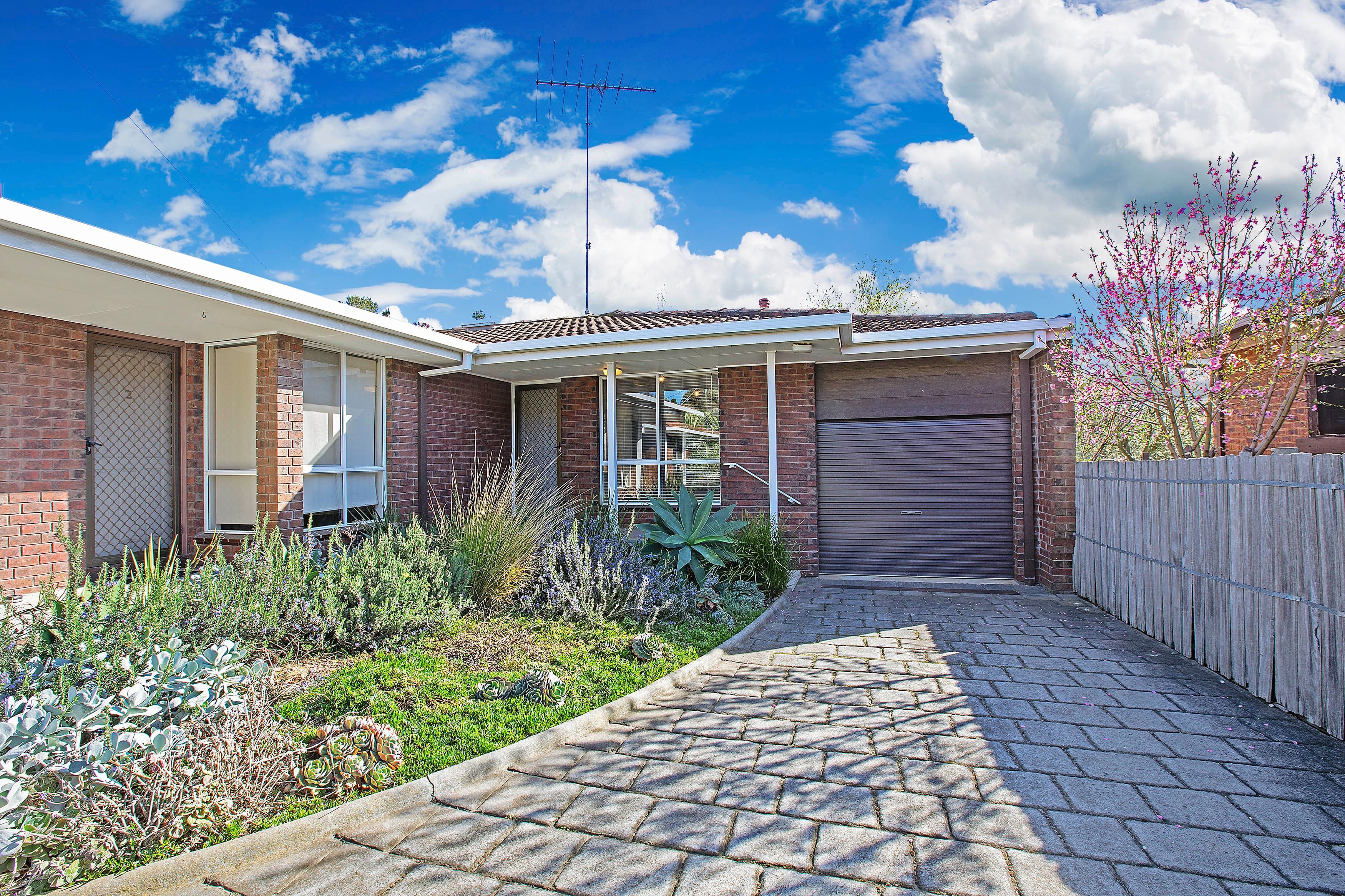 43 Vanessa Avenue, Highton VIC 3216, Highton - Image 1
