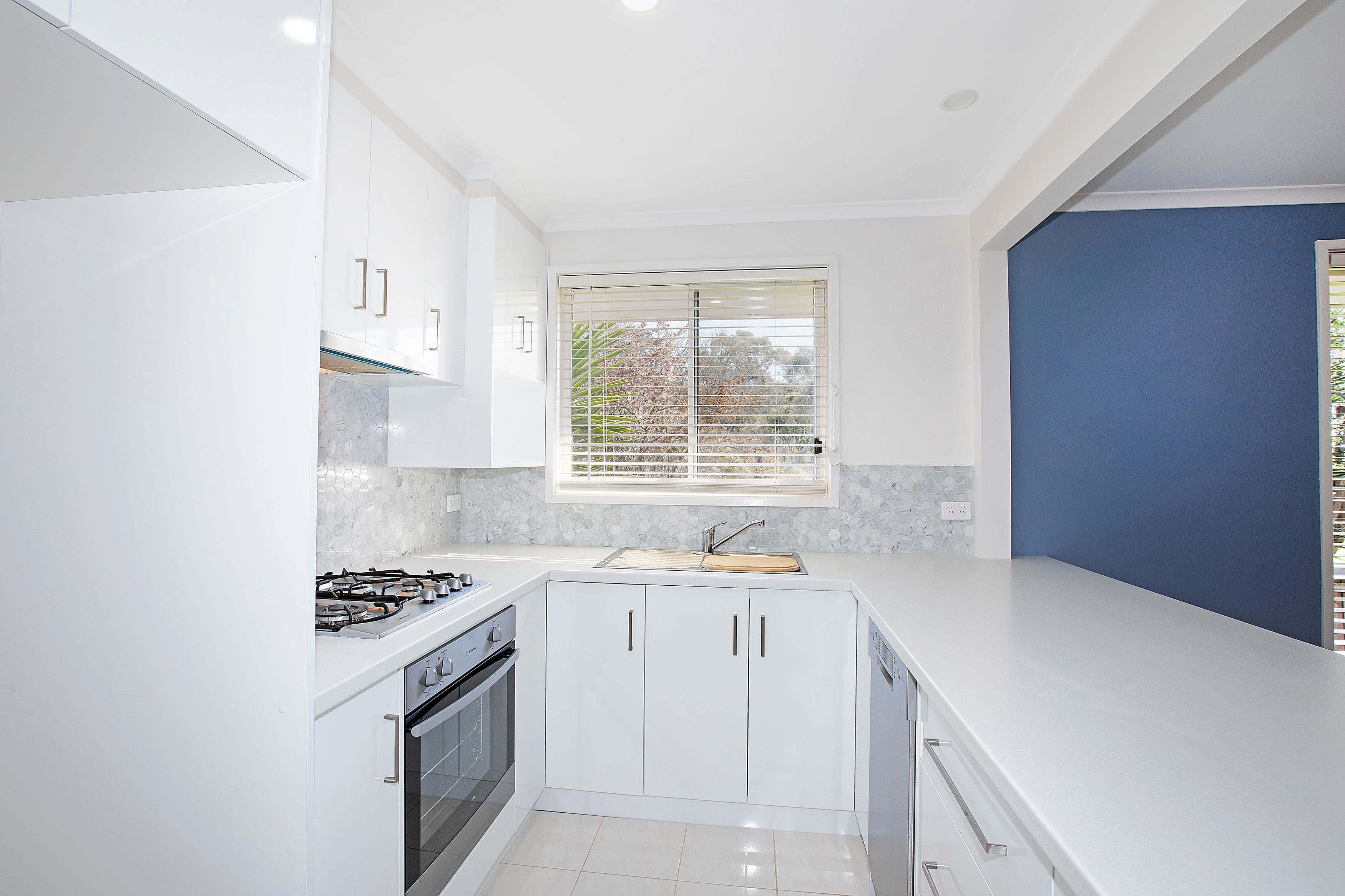 43 Vanessa Avenue, Highton VIC 3216, Highton - Thumbnail 2