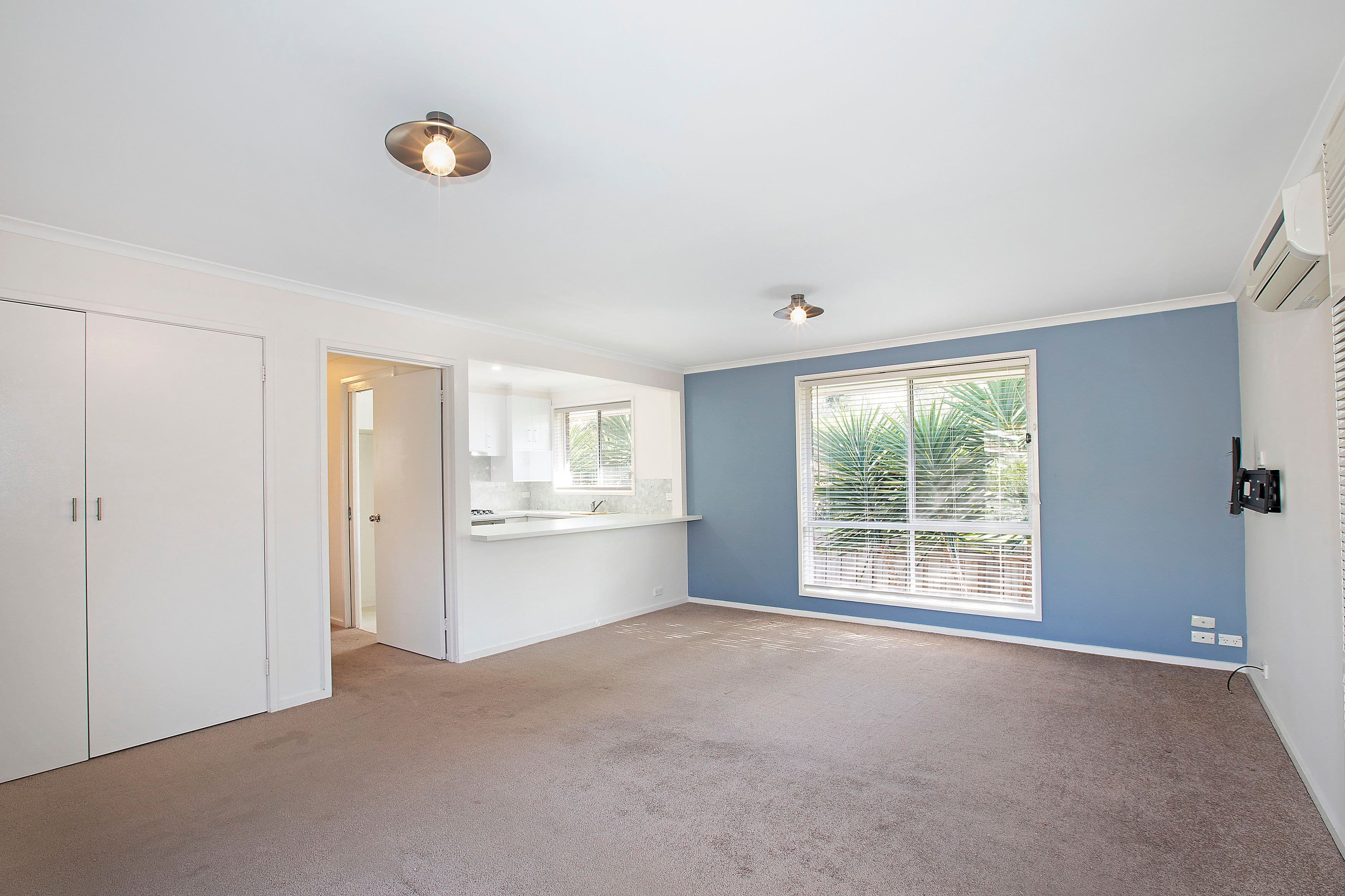 43 Vanessa Avenue, Highton VIC 3216, Highton - Thumbnail 4