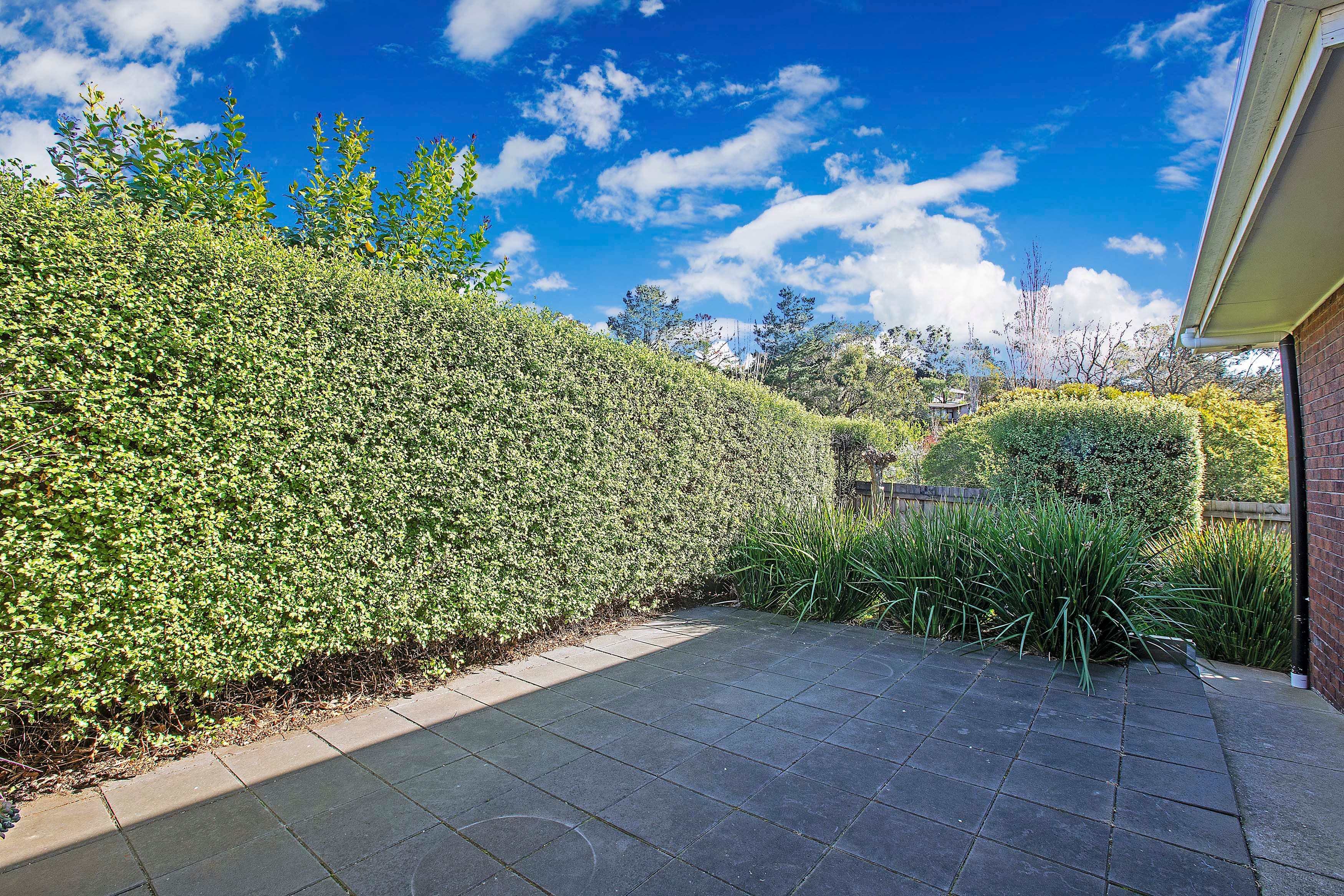 43 Vanessa Avenue, Highton VIC 3216, Highton - Thumbnail 7