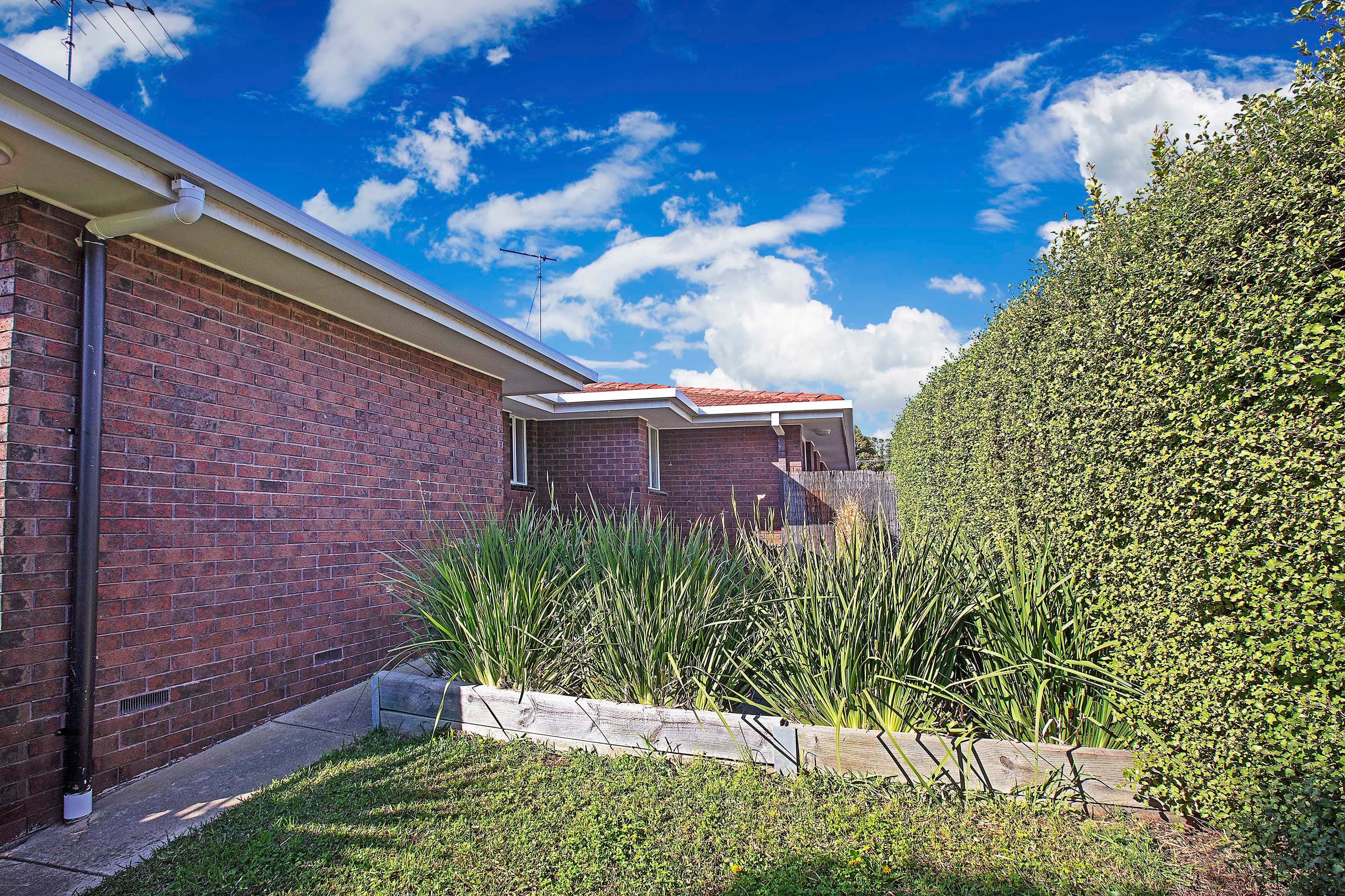 43 Vanessa Avenue, Highton VIC 3216, Highton - Thumbnail 8