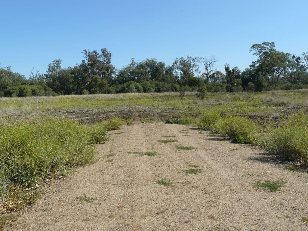 106 Fox Lodge Subdivision, MOREE NSW 2400, Moree - Thumbnail 2