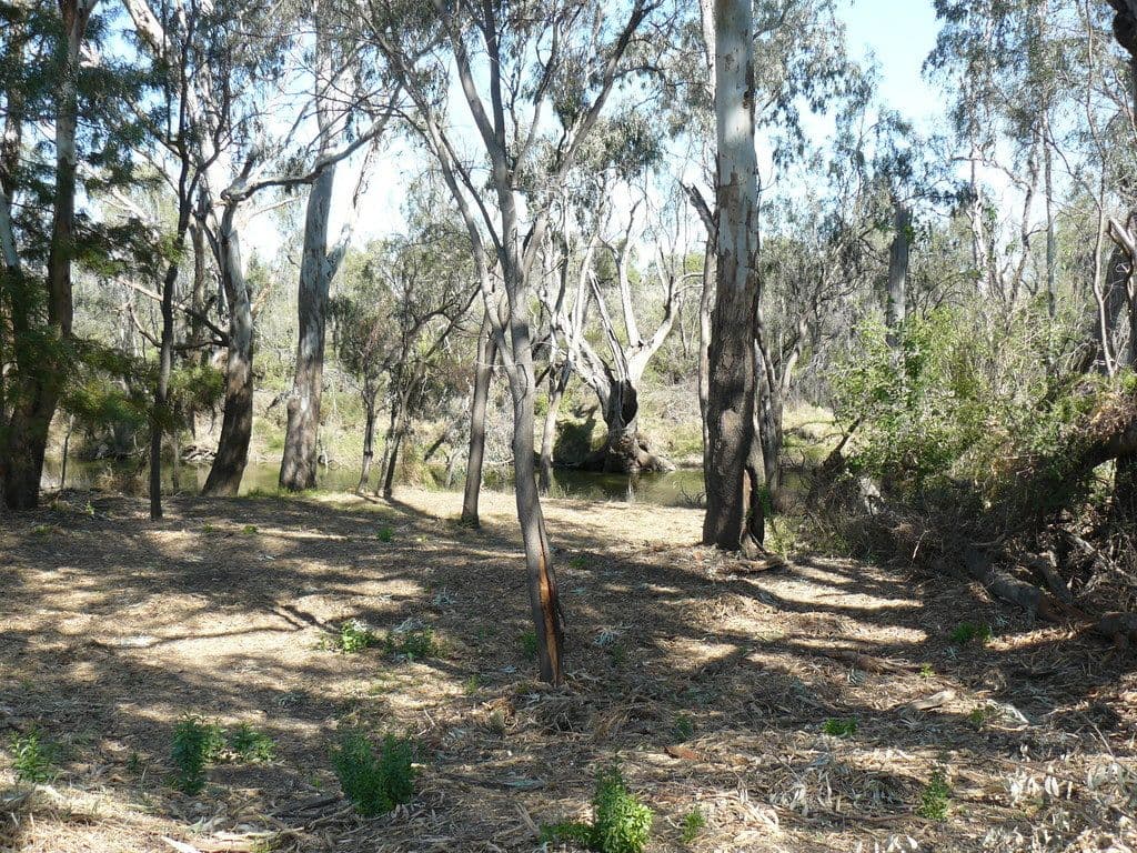 106 Fox Lodge Subdivision, MOREE NSW 2400, Moree - Thumbnail 3