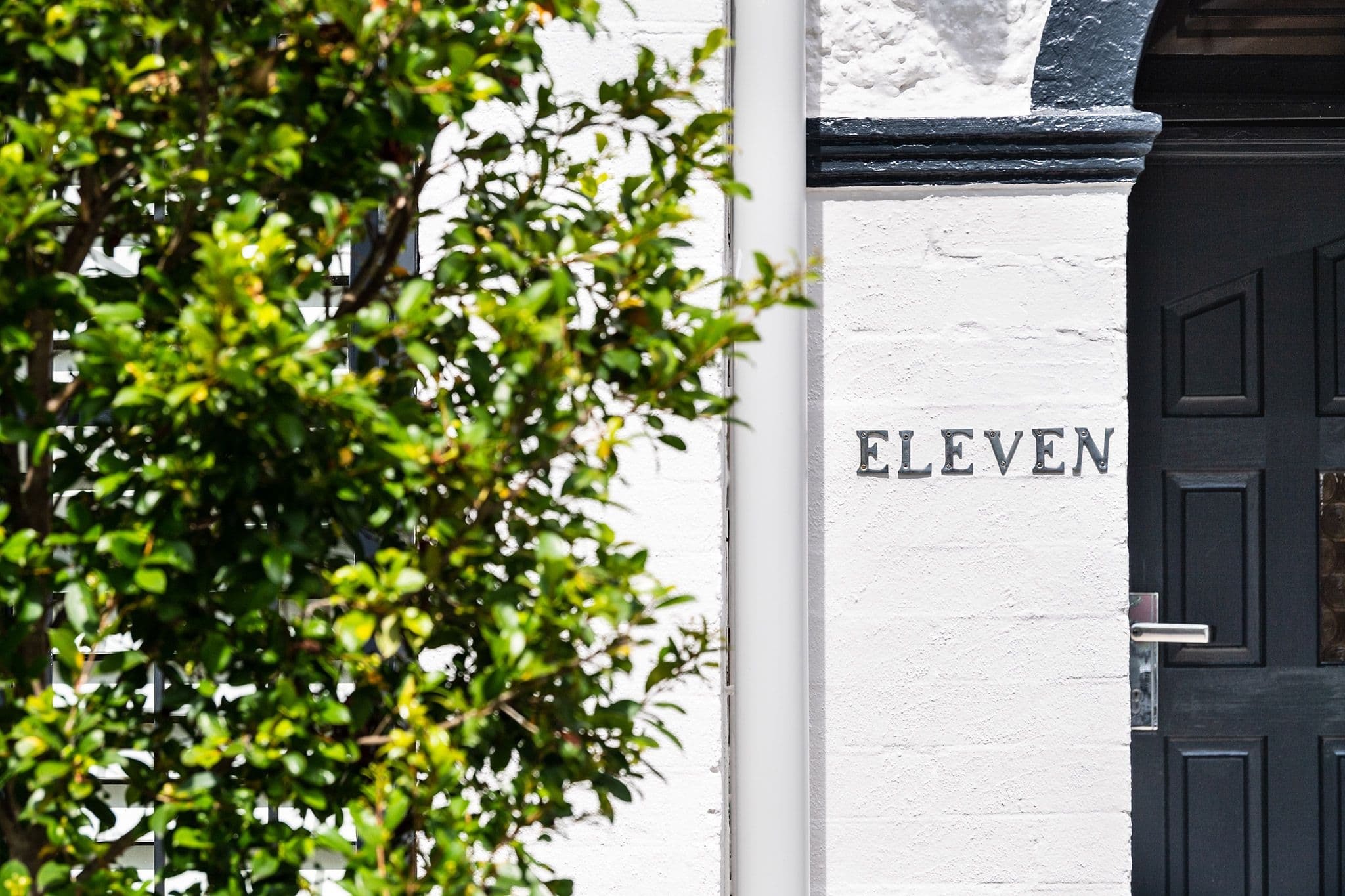11 John Street, Leichhardt NSW 2040, Leichhardt - Thumbnail 2