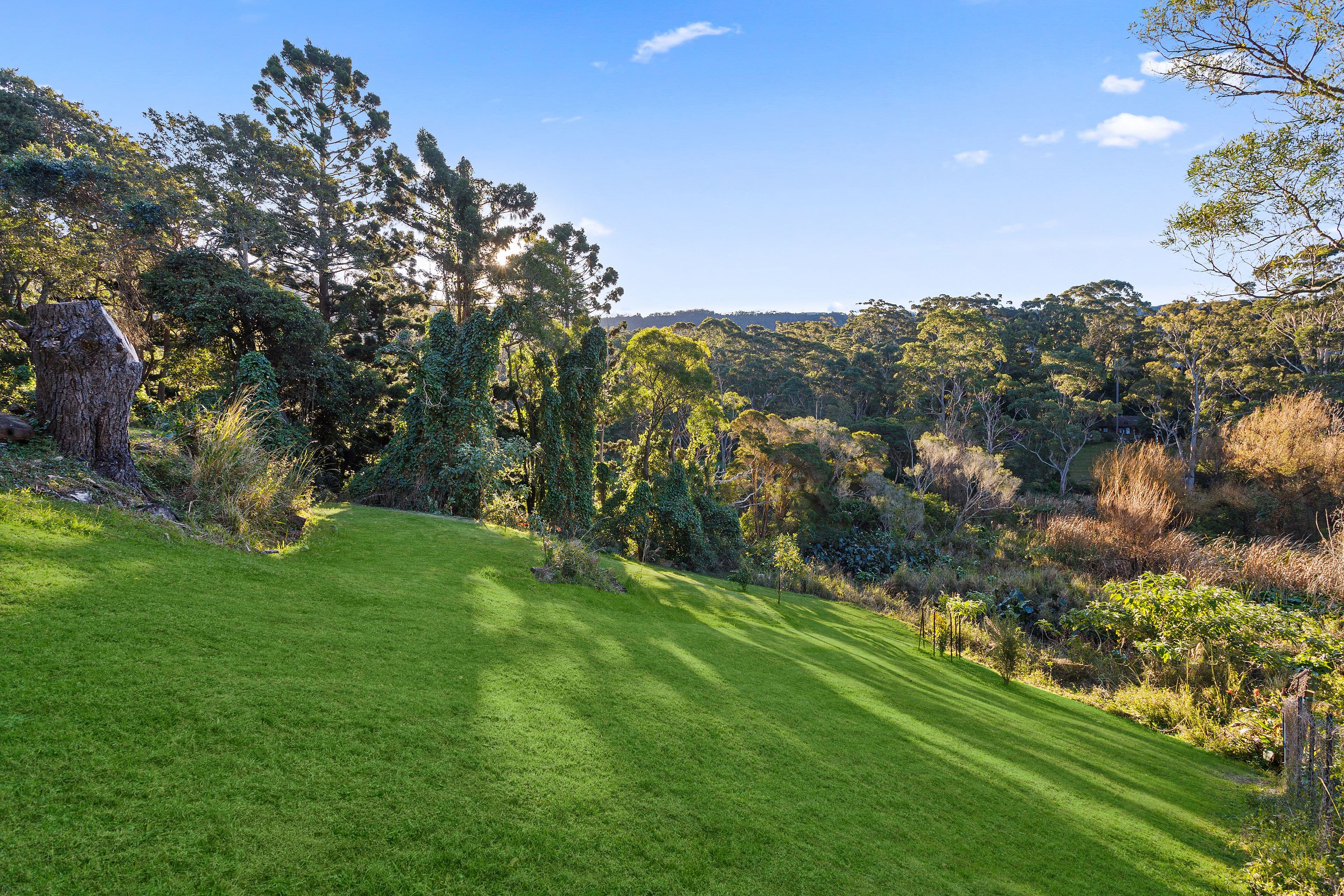 28 George Avenue, Bulli NSW 2516, Bulli - Thumbnail 6
