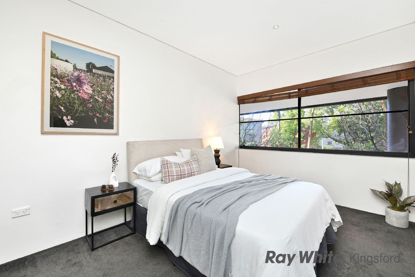 254 Anzac Parade, Kensington NSW 2033, Kensington - Thumbnail 5