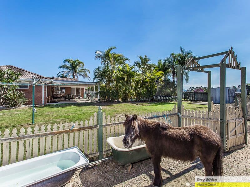 5 Listonia Drive, Albany Creek QLD 4035, Albany Creek - Thumbnail 6