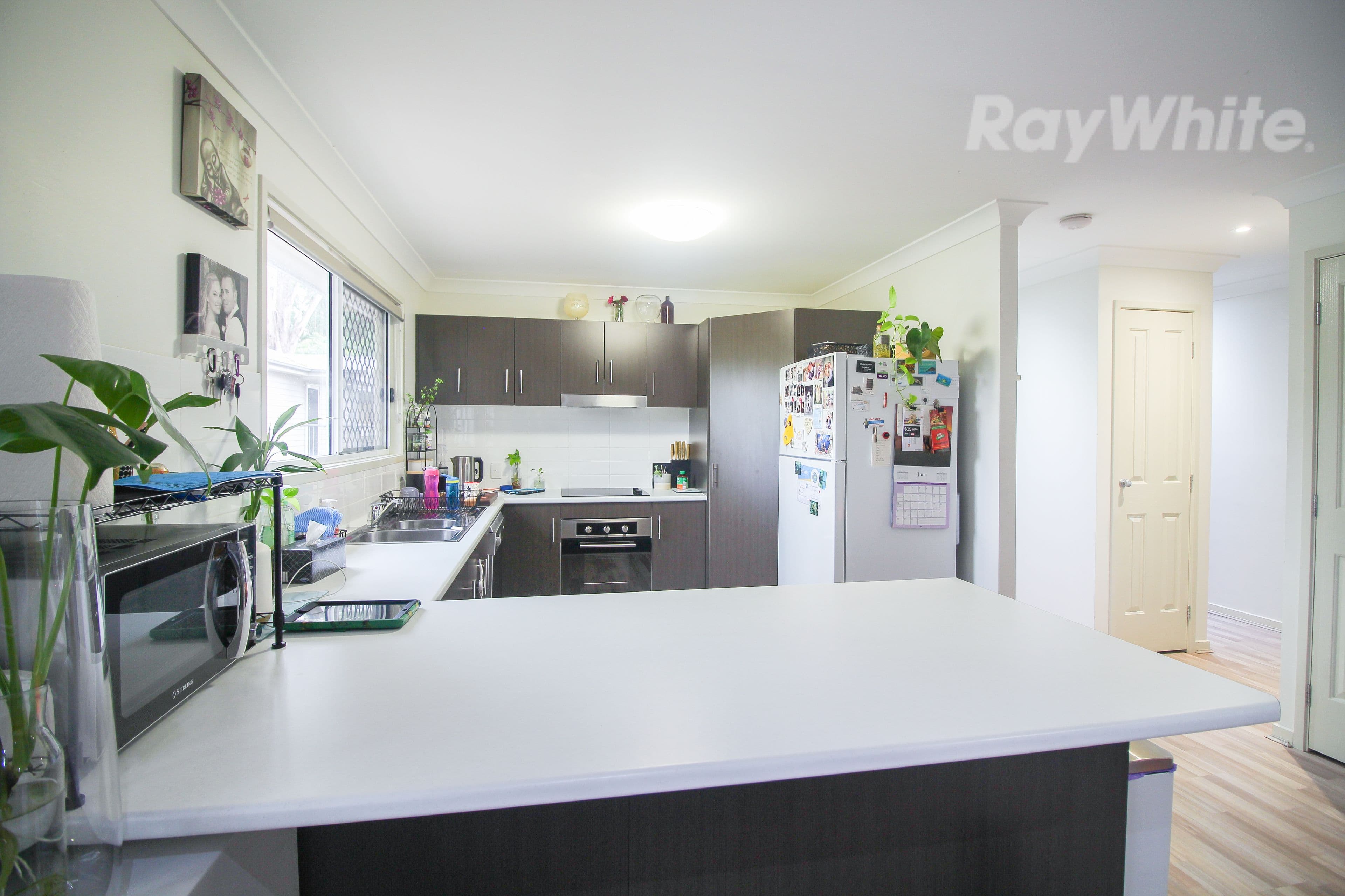 12 George Street, Blackstone QLD 4304, Blackstone - Thumbnail 6