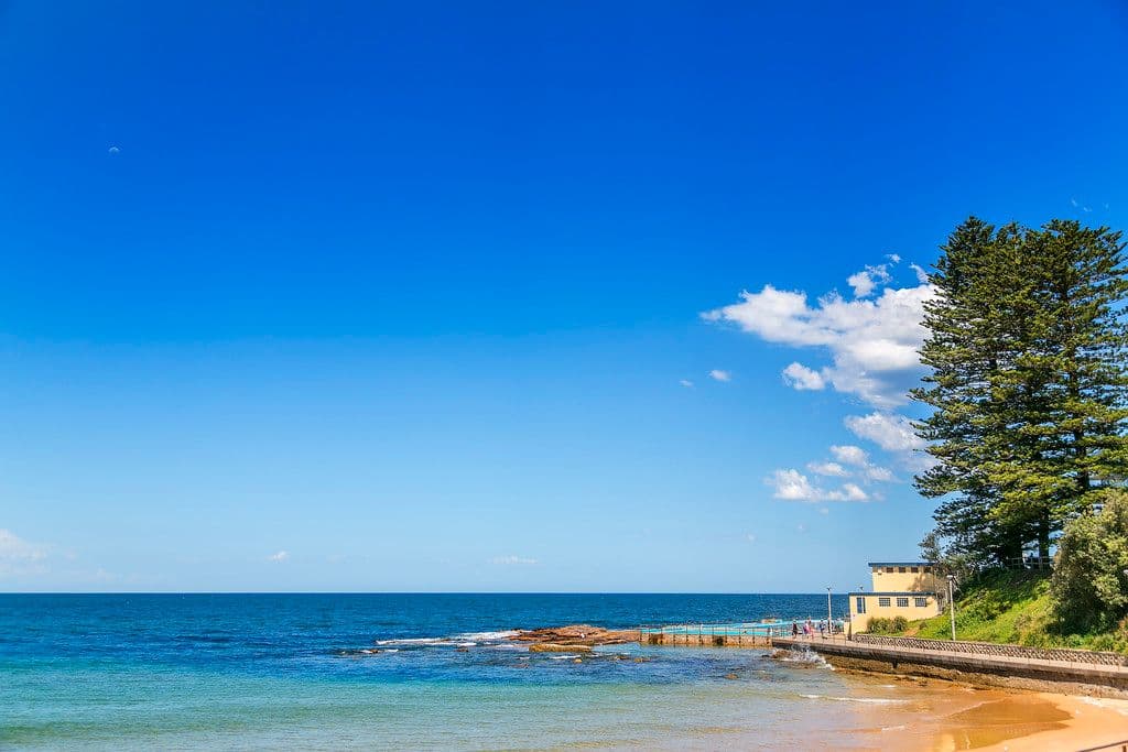 Corner of Delmar Pde and Pittwater Road, DEE WHY NSW 2099, Dee Why - Thumbnail 5