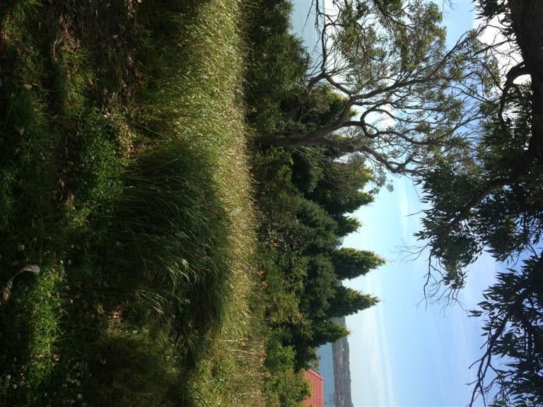51 Scott Circuit, SALAMANDER BAY NSW 2317, Salamander Bay - Thumbnail 4