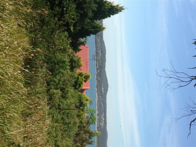 51 Scott Circuit, SALAMANDER BAY NSW 2317, Salamander Bay - Thumbnail 5