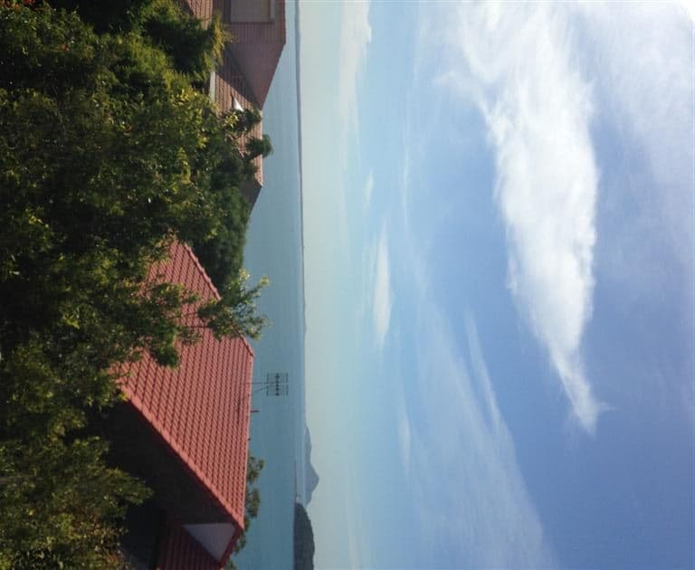 51 Scott Circuit, SALAMANDER BAY NSW 2317, Salamander Bay - Thumbnail 8