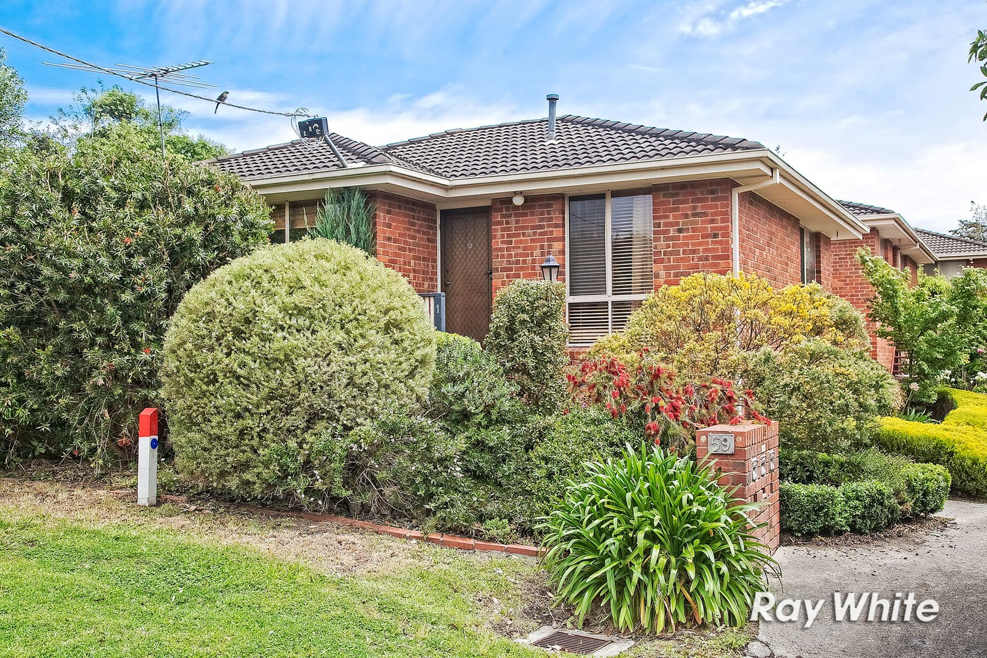 59 Myrtle Street, Langwarrin VIC 3910, Langwarrin - Image 1