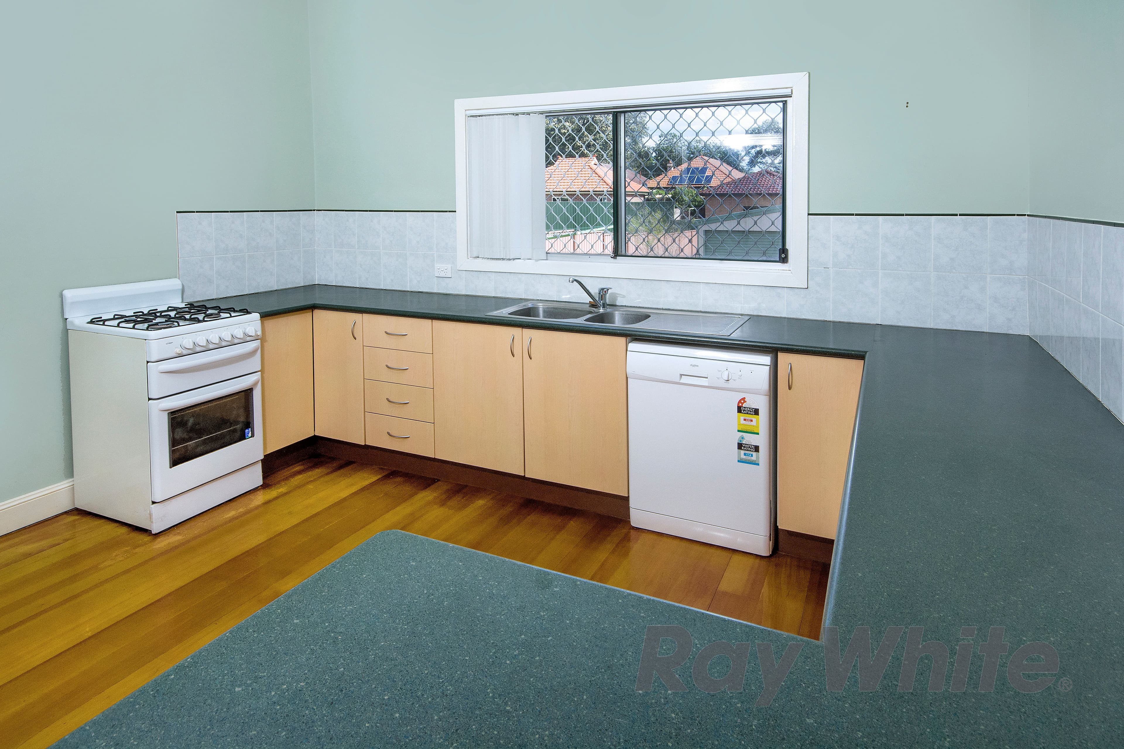 107 Cleary Street, Hamilton - Thumbnail 6