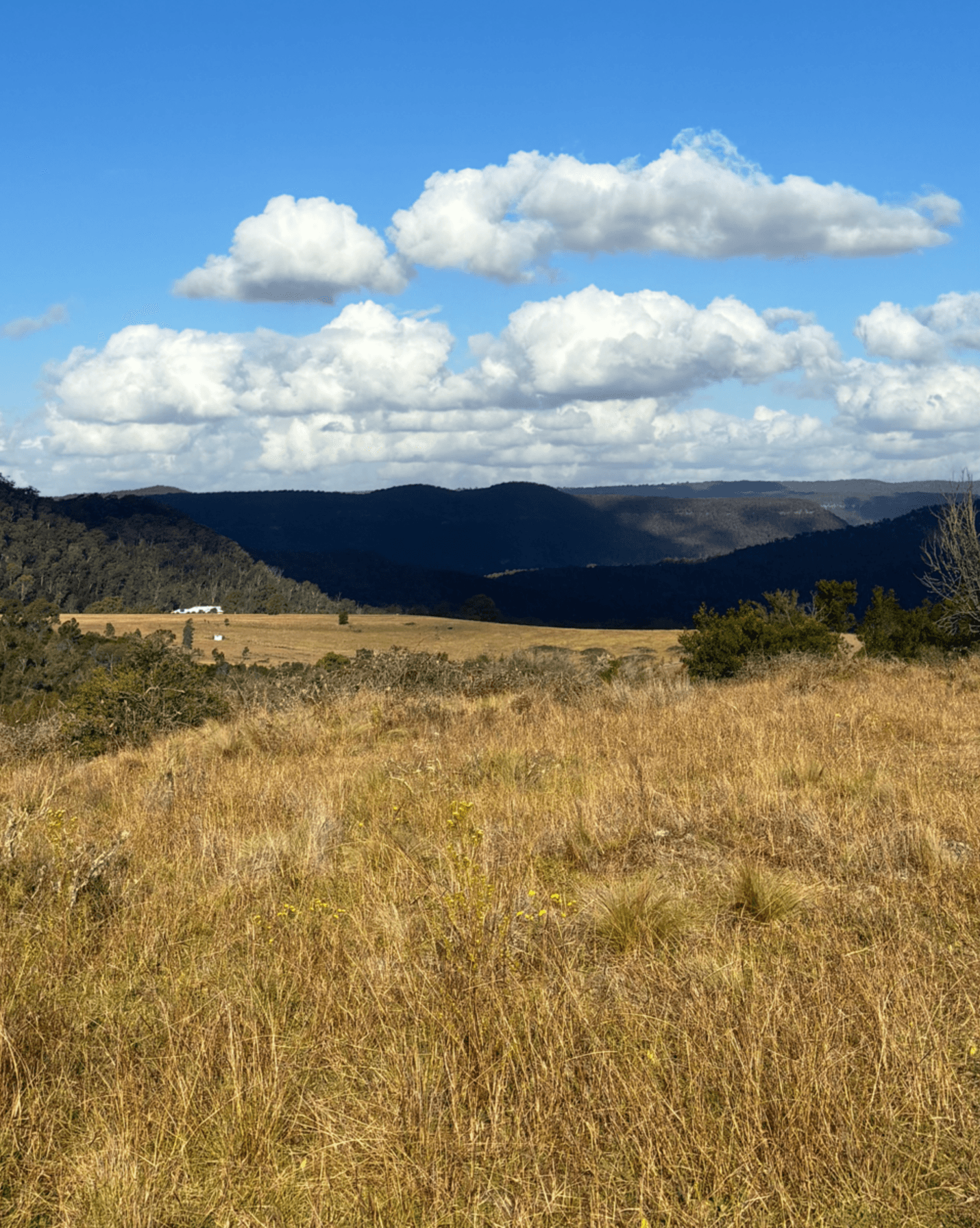 200 Pulpit Rock Road Bullio, Bullio - Image 1