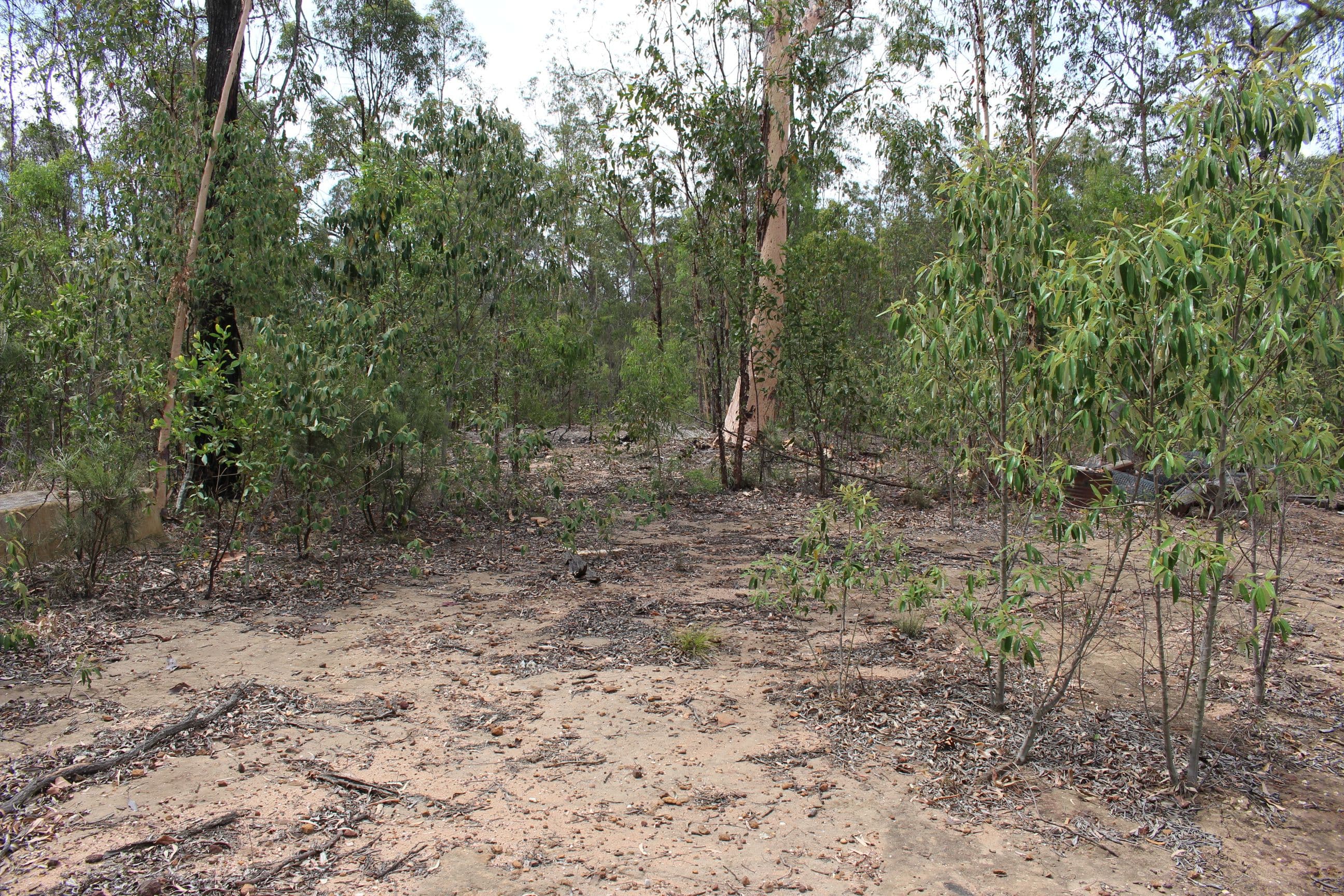 106 Cambridge Drive, Mount Hallen QLD 4312, Mount Hallen - Thumbnail 5