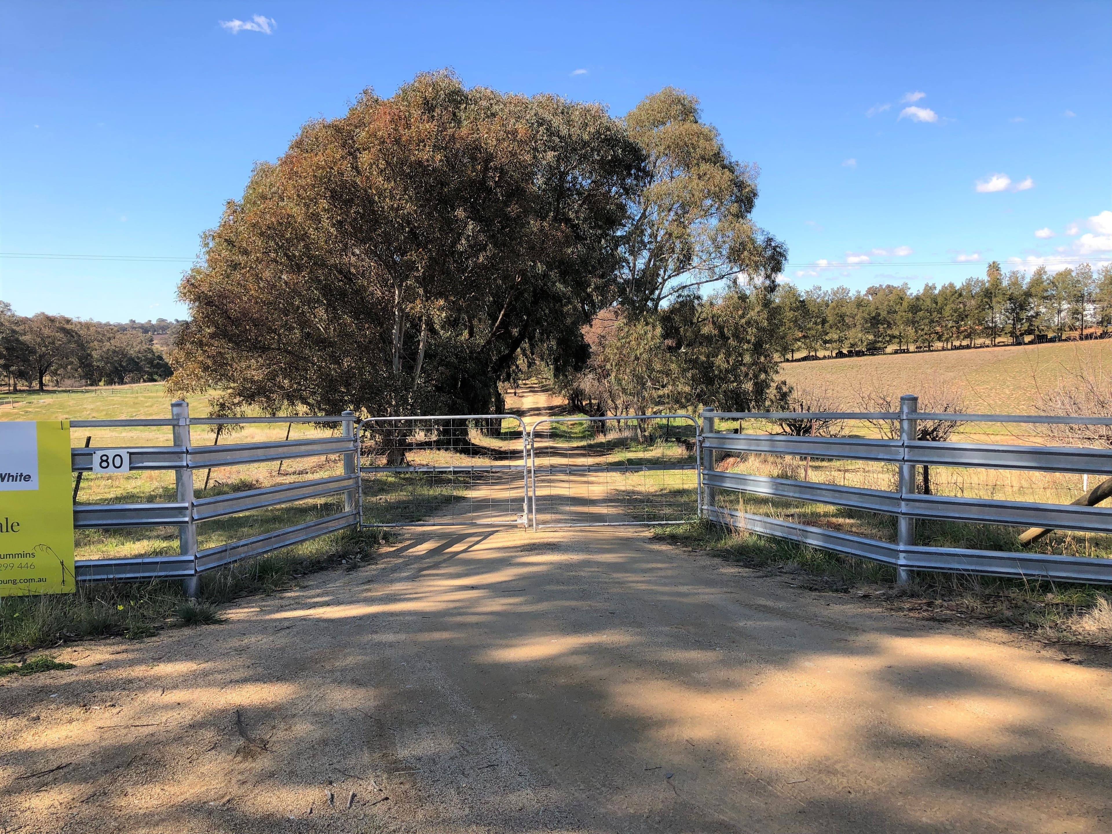 80 Tipperary Lane, Young - Thumbnail 2