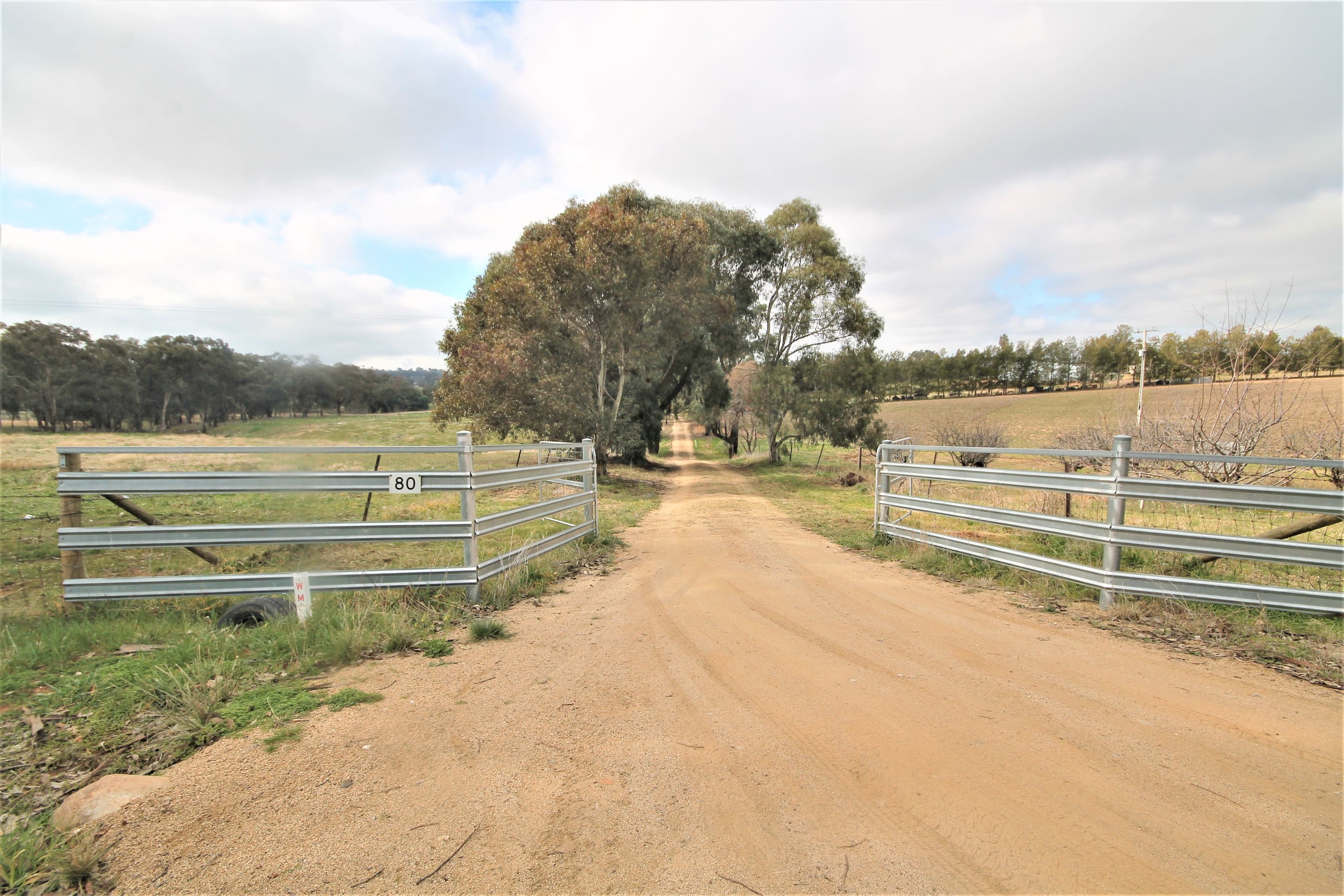 80 Tipperary Lane, Young - Thumbnail 3
